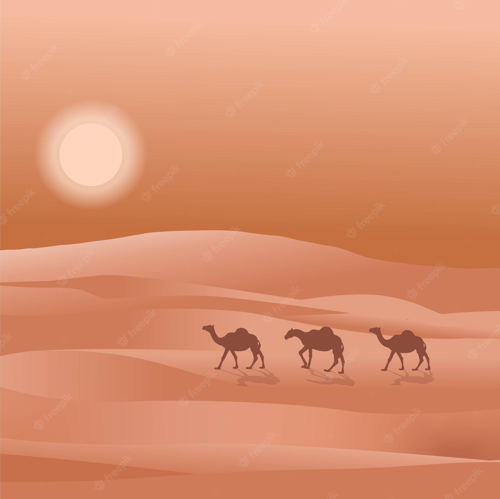 Minimalist Desert Night Camel Walking Wallpapers