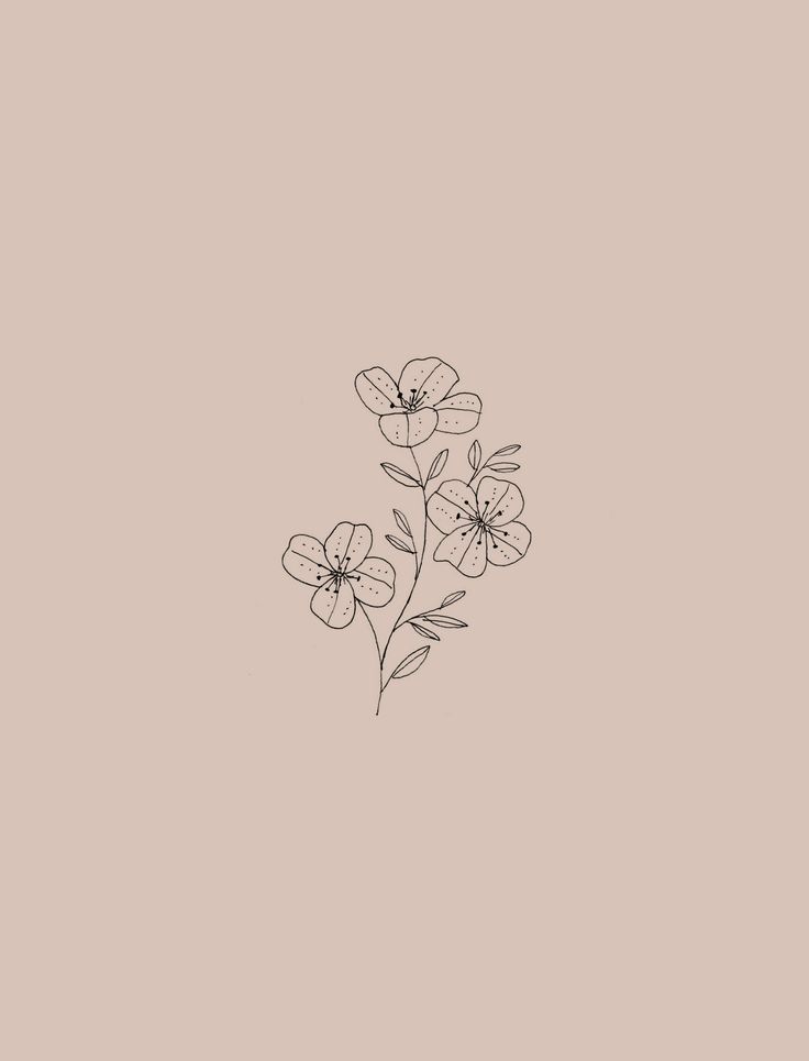 Minimalist Drawing Wallpapers