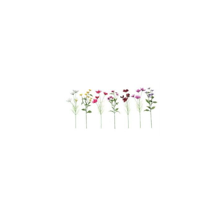 Minimalist Flower Computer Wallpapers