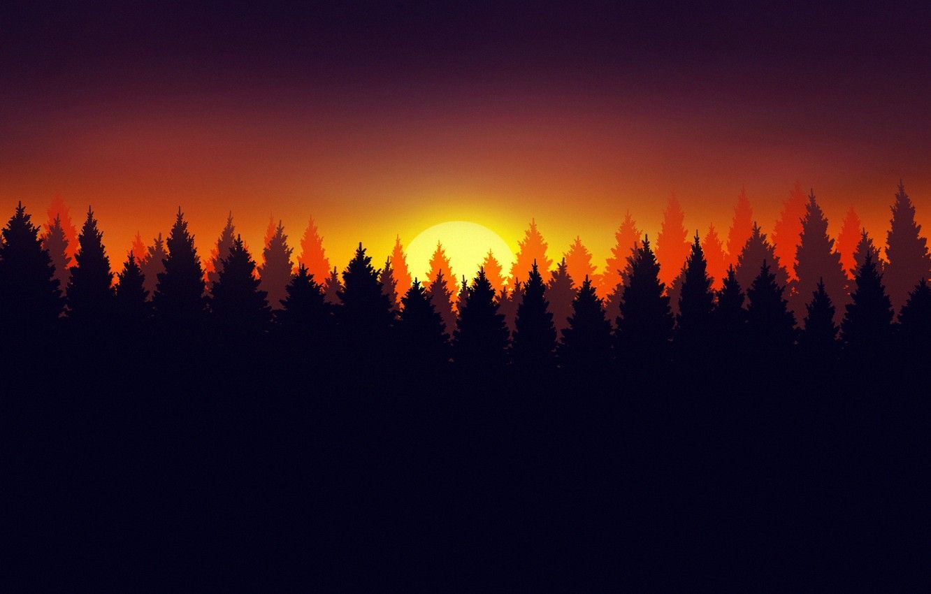 Minimalist Forest Wallpapers