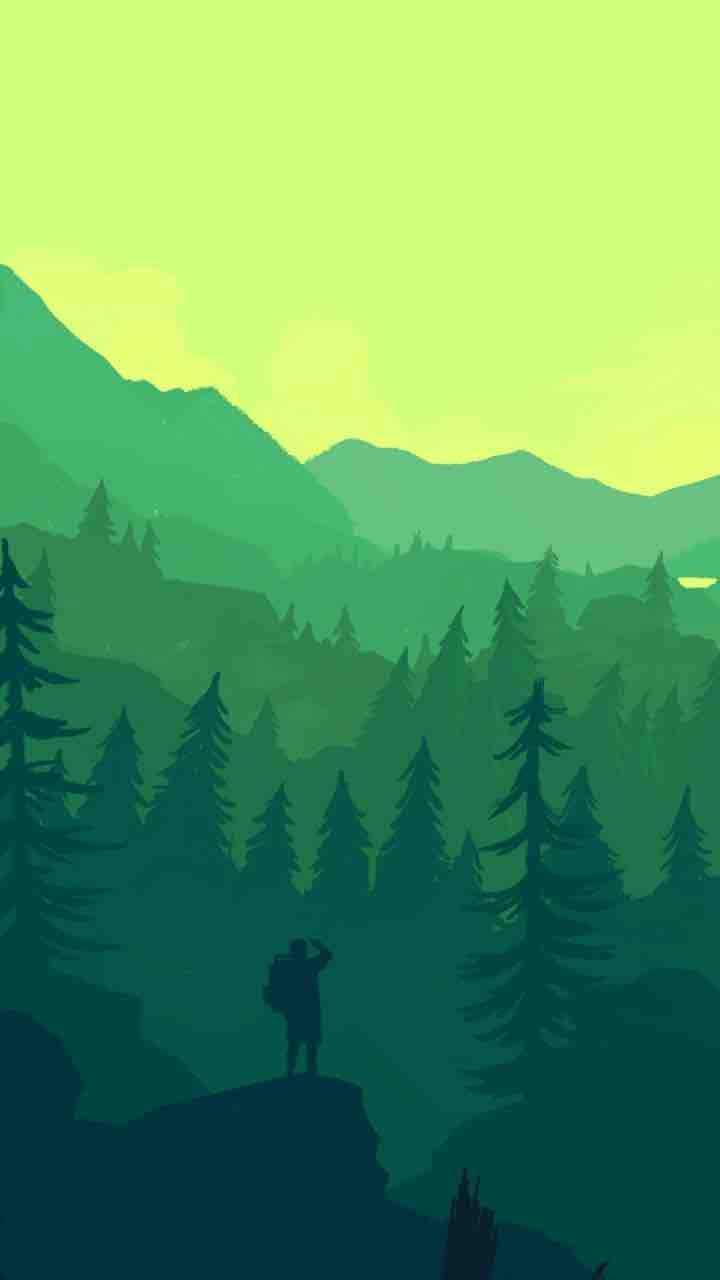 Minimalist Forest Wallpapers