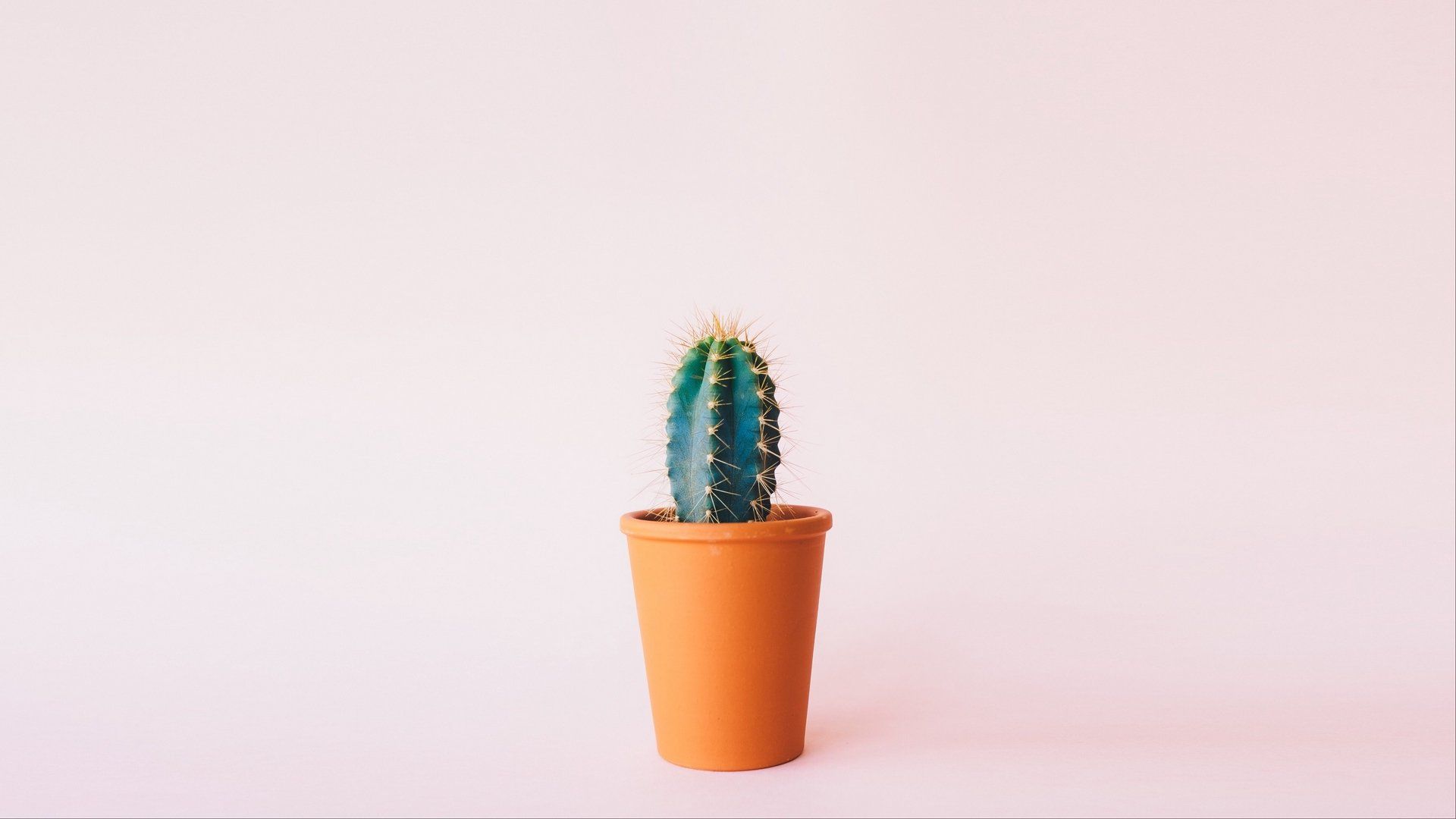 Minimalist Pastel Desktop Plant Wallpapers