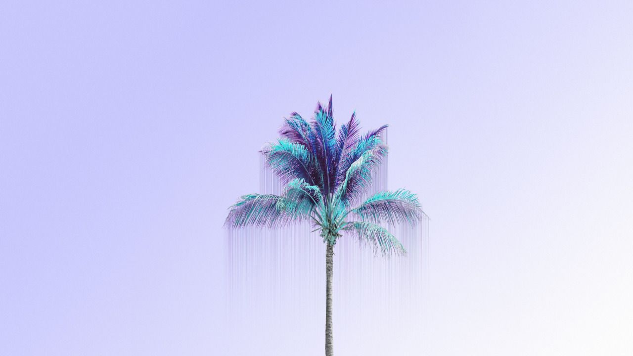 Minimalist Pastel Desktop Plant Wallpapers