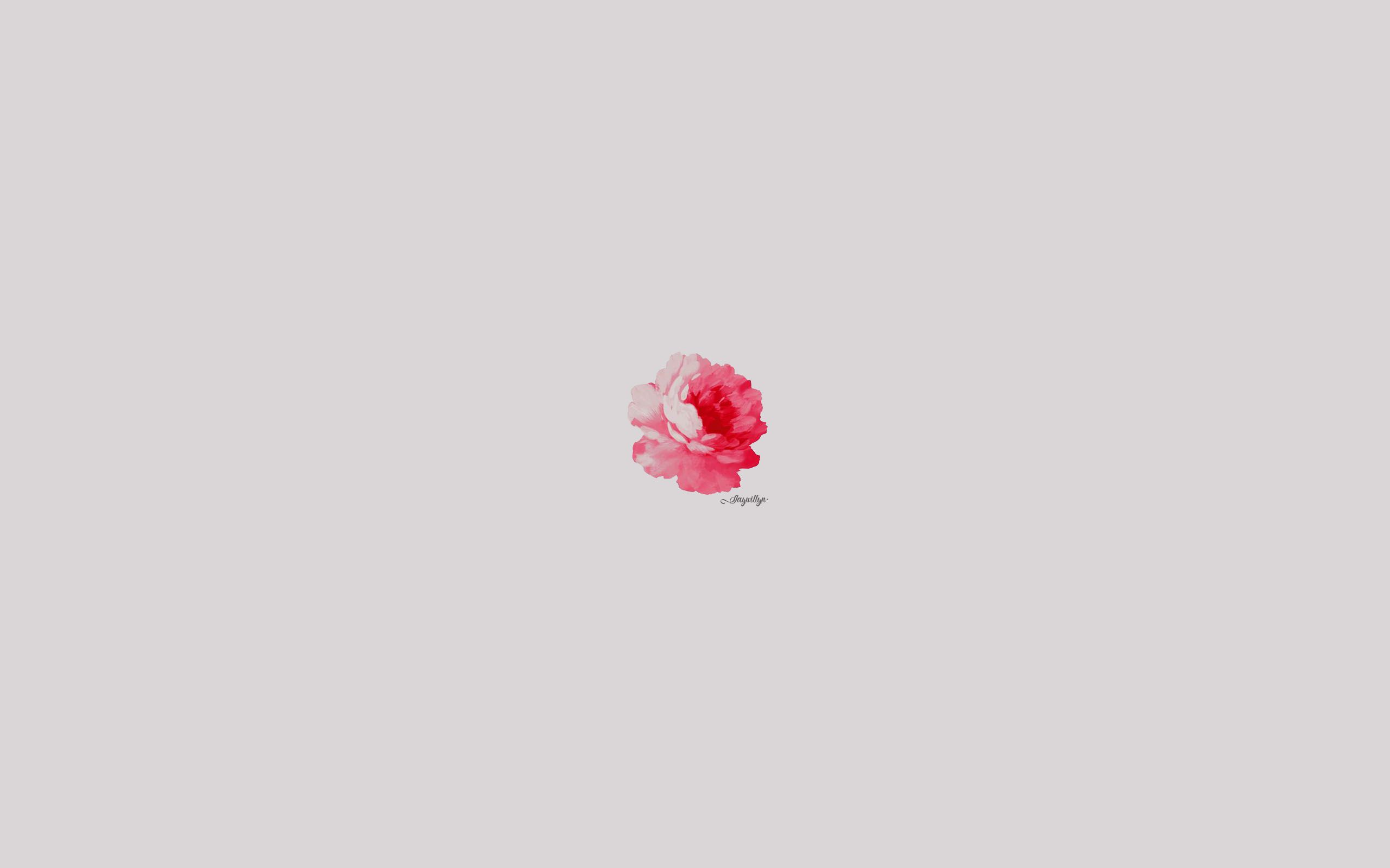 Minimalist Rose Wallpapers