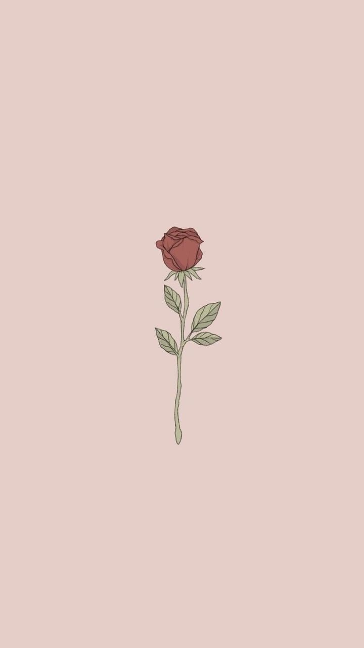 Minimalist Rose Wallpapers