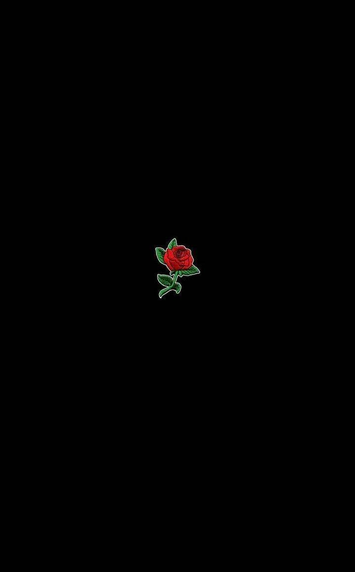 Minimalist Rose Wallpapers