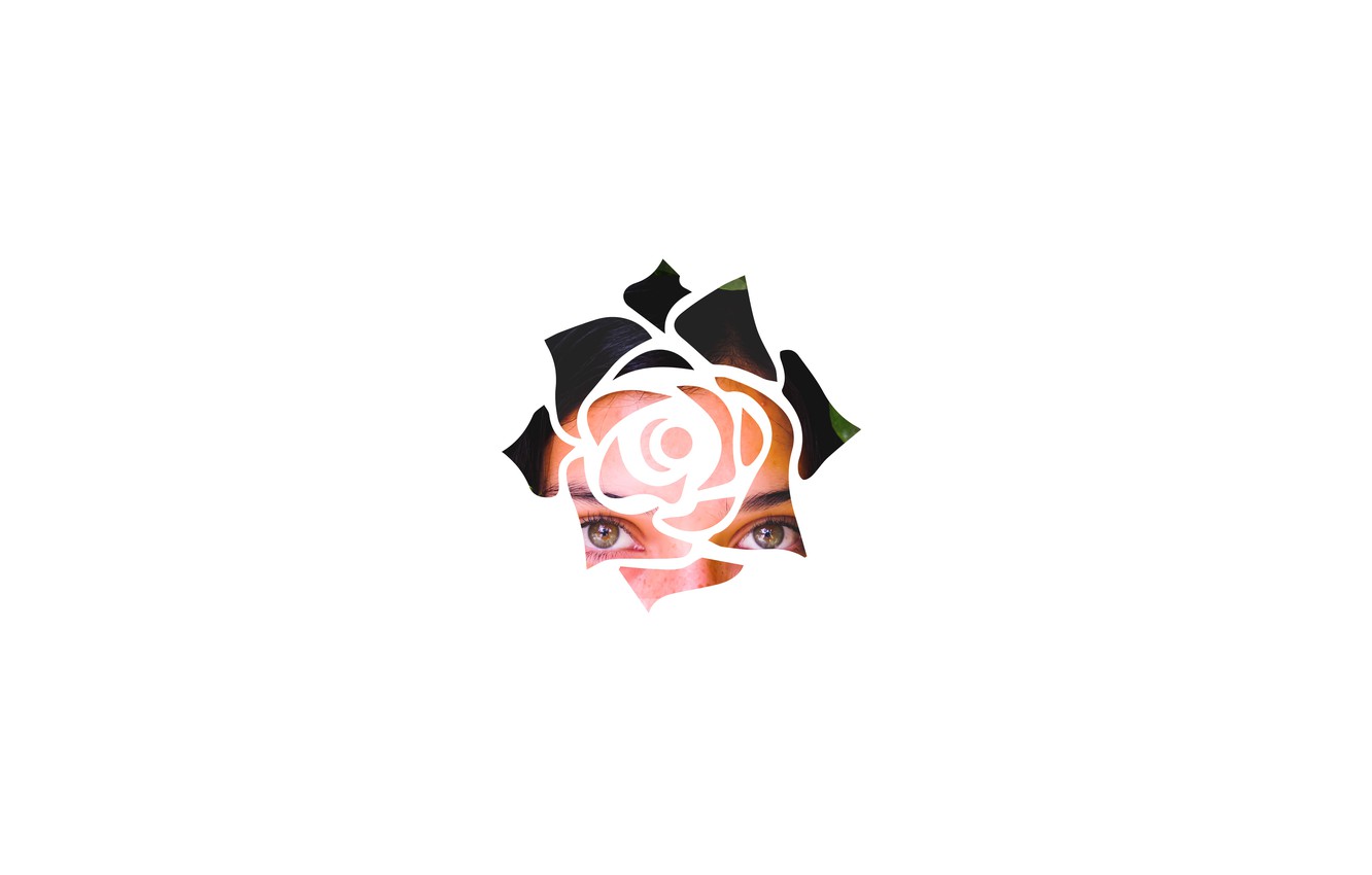 Minimalist Rose Wallpapers