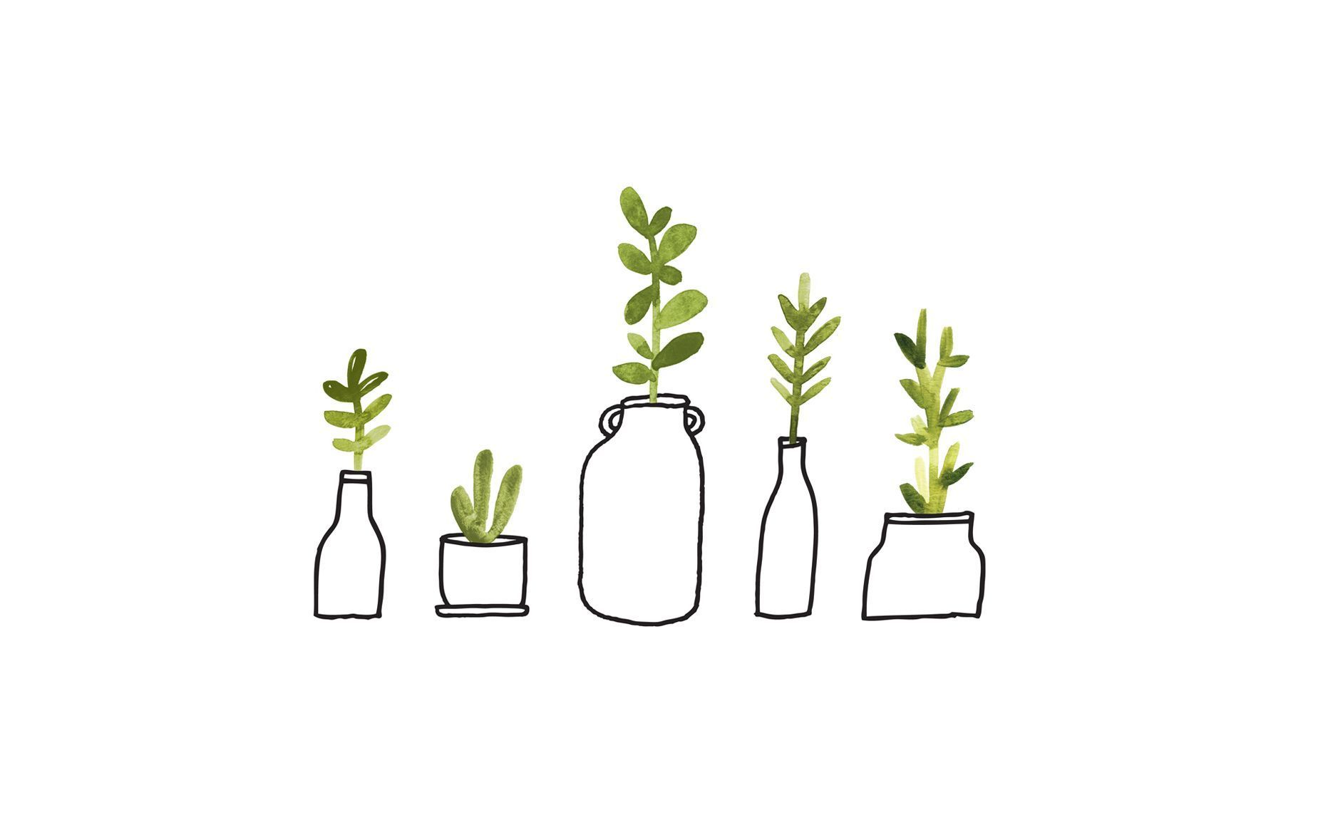 Minimalist Tumblr Plants Desktop Wallpapers