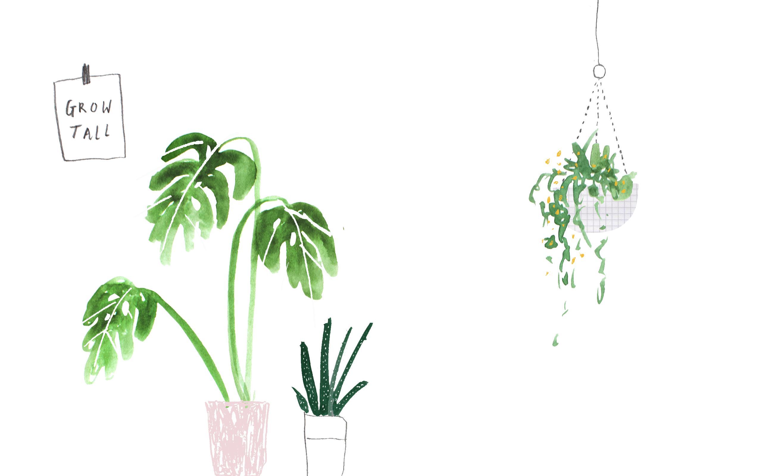 Minimalist Tumblr Plants Desktop Wallpapers