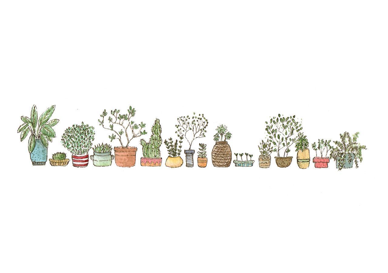 Minimalist Tumblr Plants Desktop Wallpapers