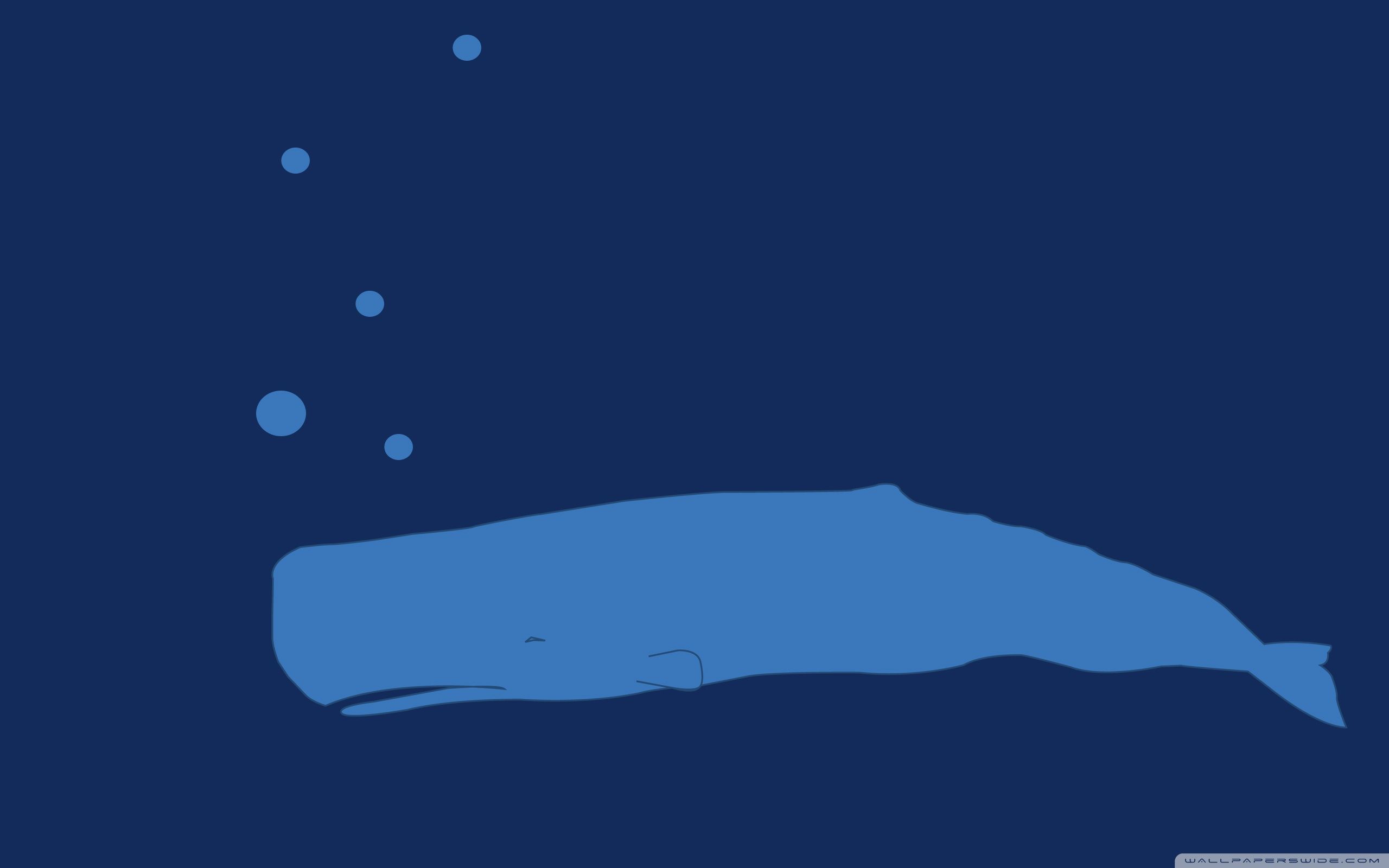 Minimalist Whale Wallpapers