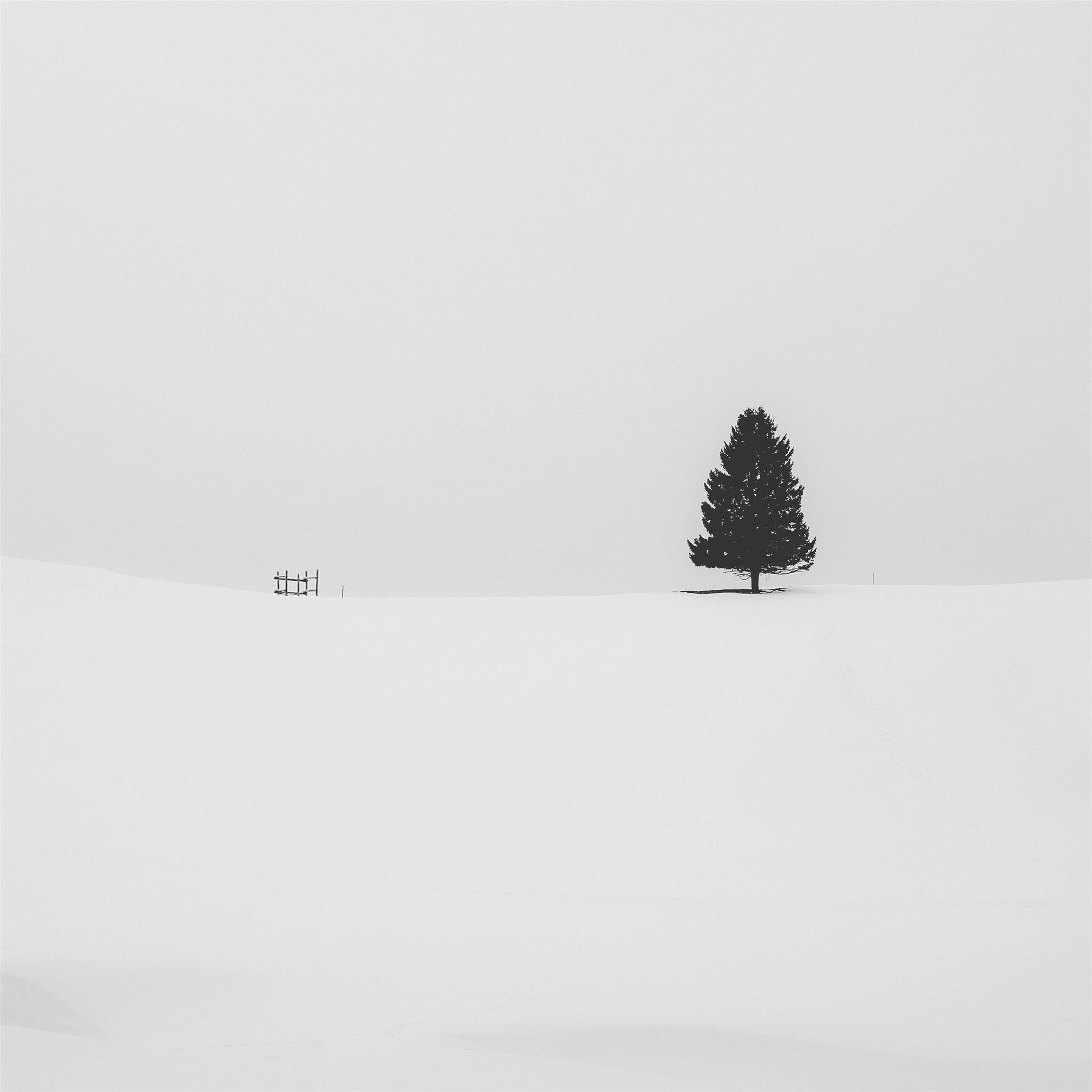 Minimalist Winter Wallpapers