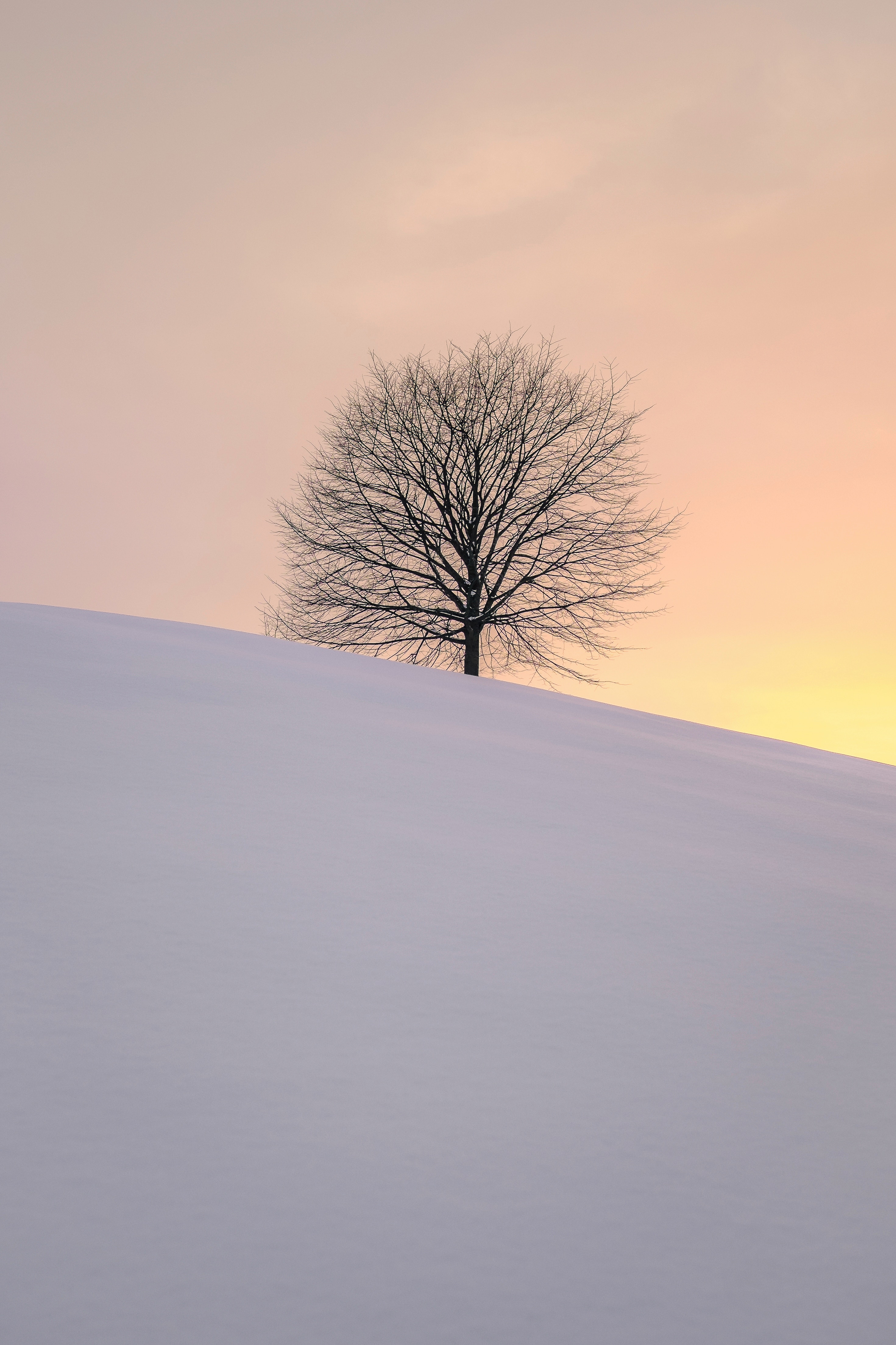 Minimalist Winter Wallpapers