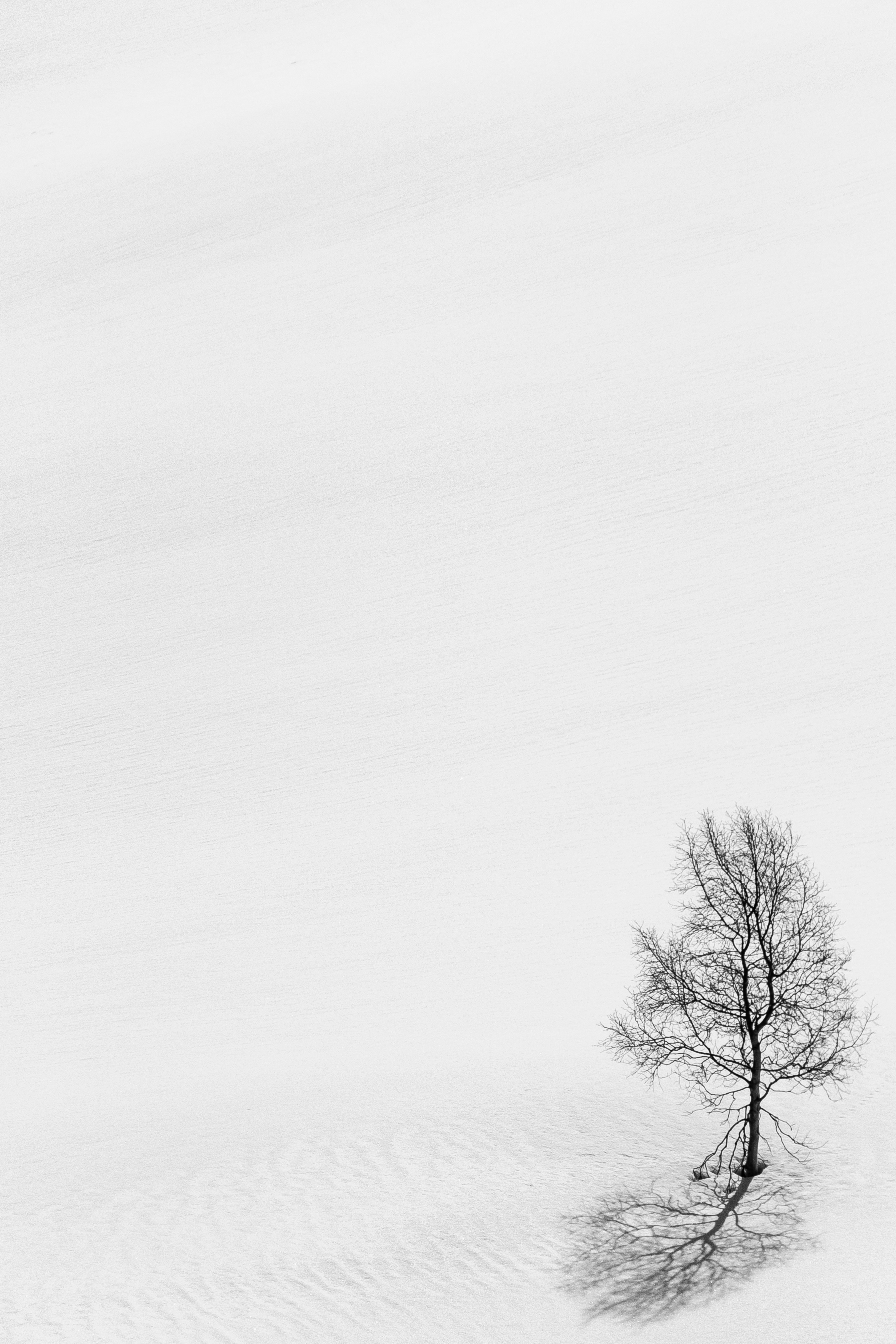 Minimalist Winter Wallpapers