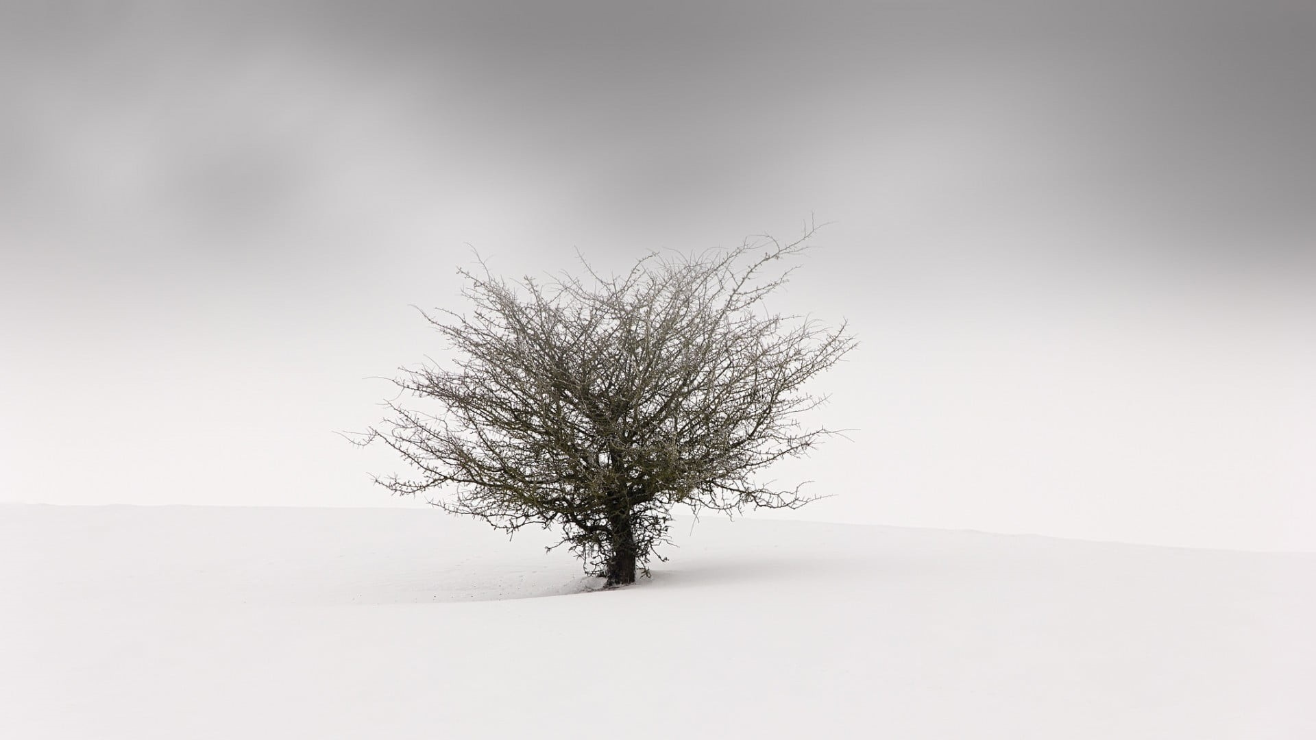 Minimalist Winter Wallpapers