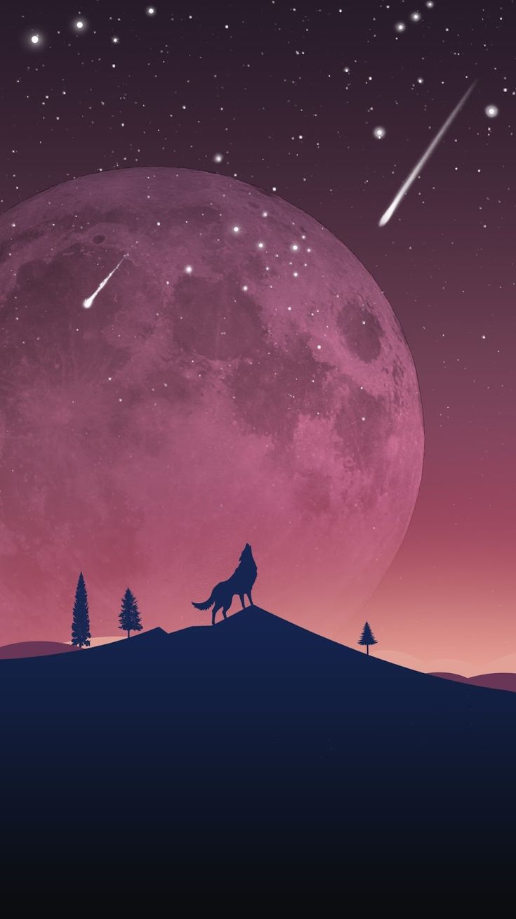 Minimalist Wolf Wallpapers