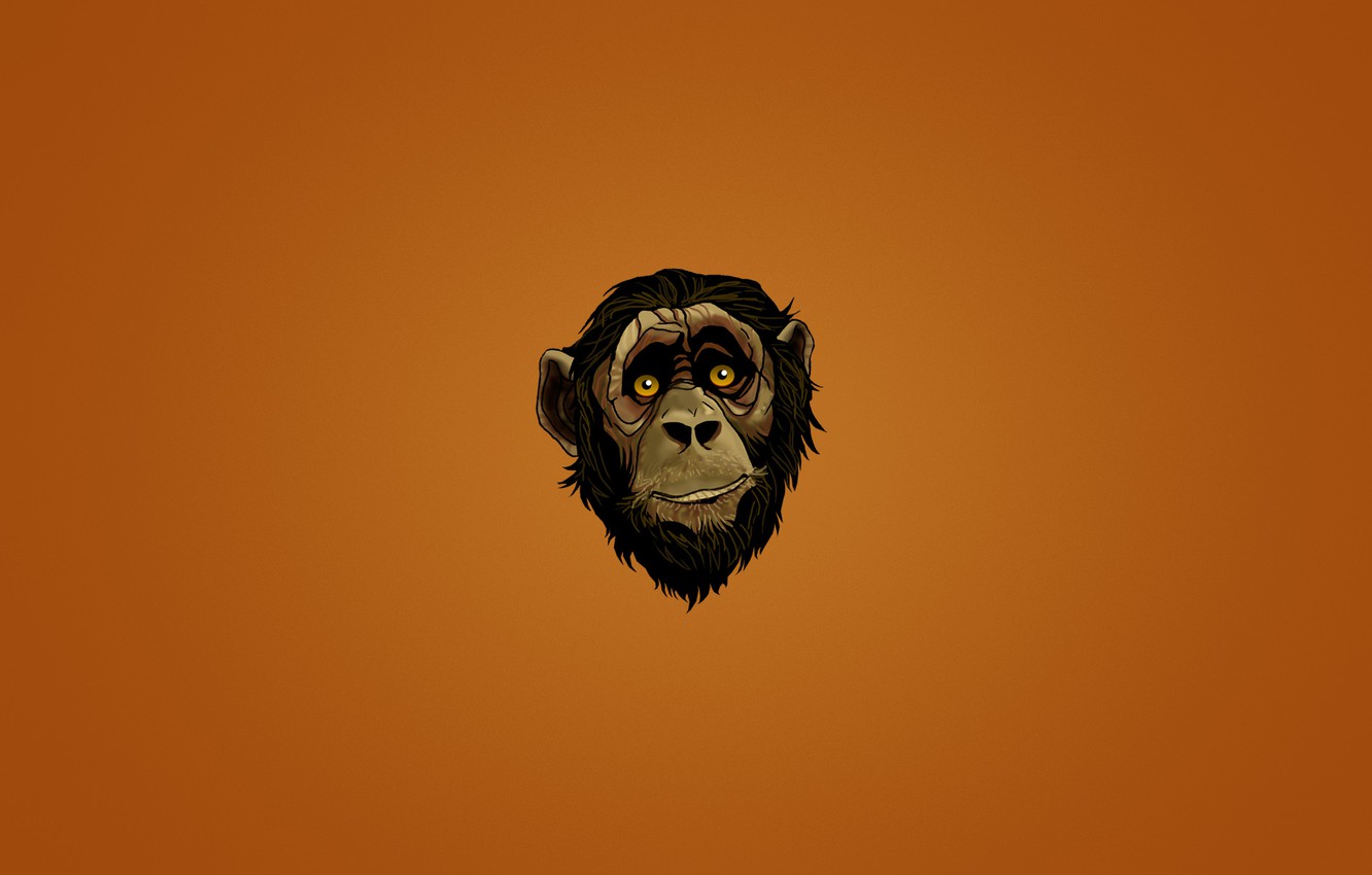 Monkey Minimalism Wallpapers