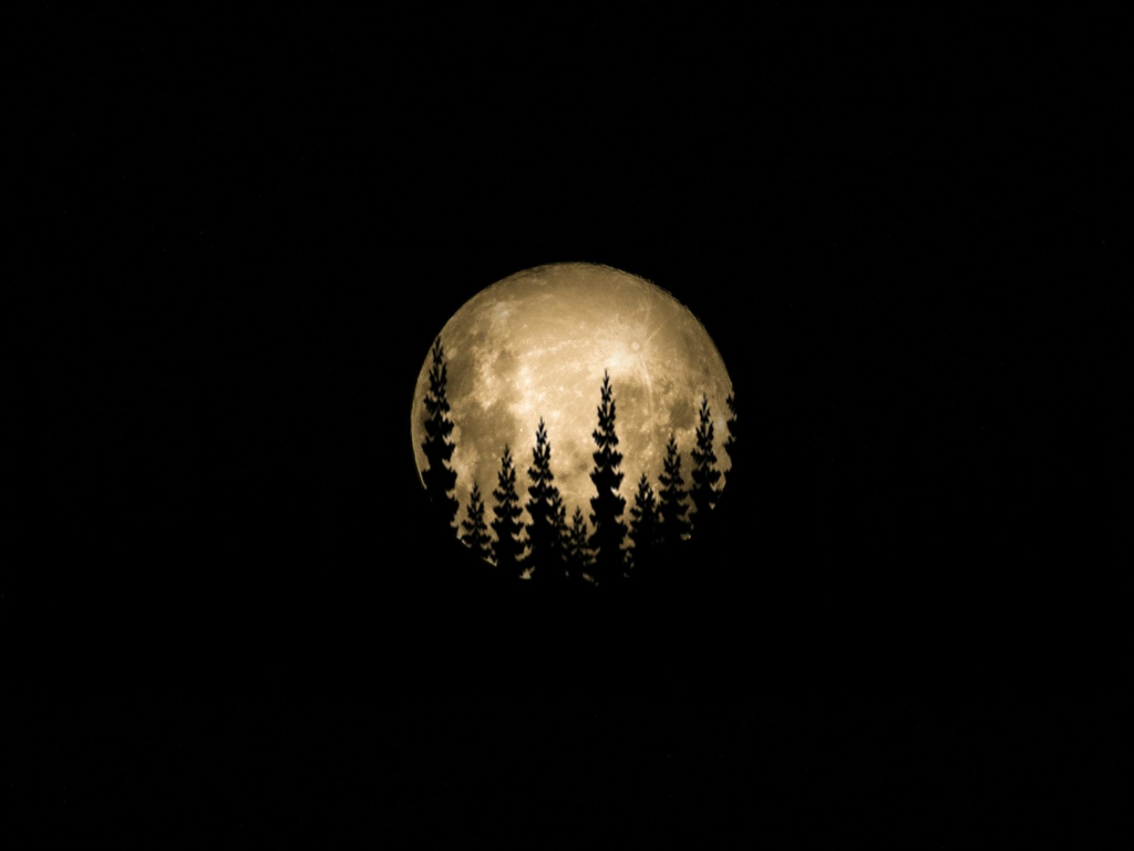 Mountains Moon Trees Minimal Wallpapers