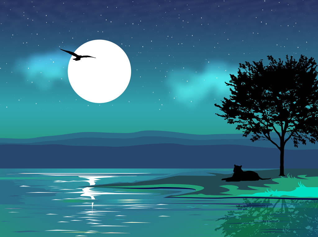 Night Landscape Vector Wallpapers