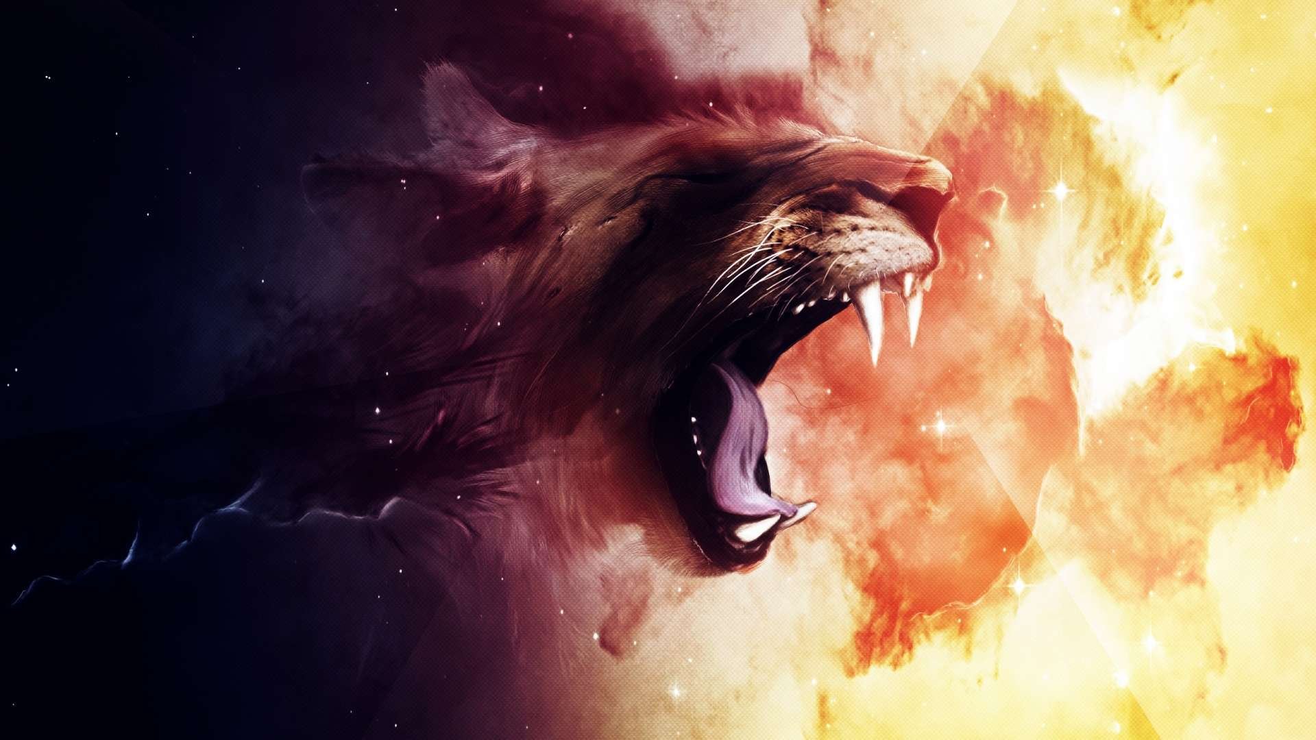 Roaring Lion Minimalist Wallpapers