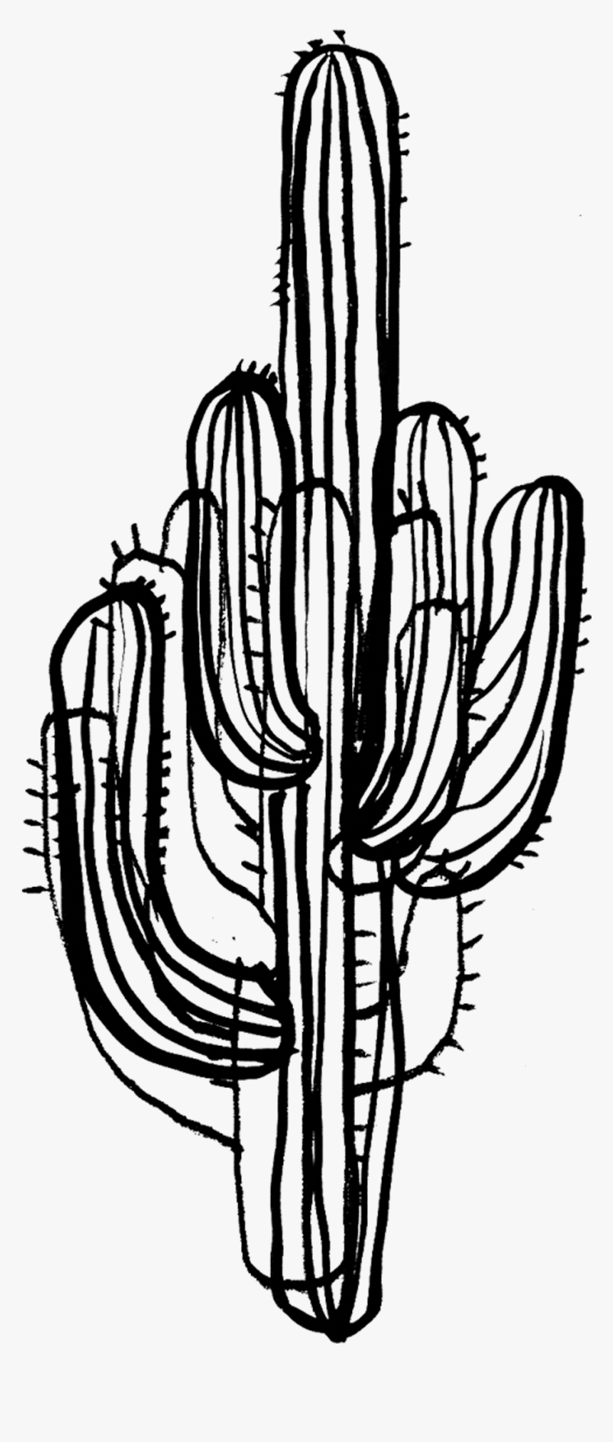 Saguaro Geometric Line Art Wallpapers