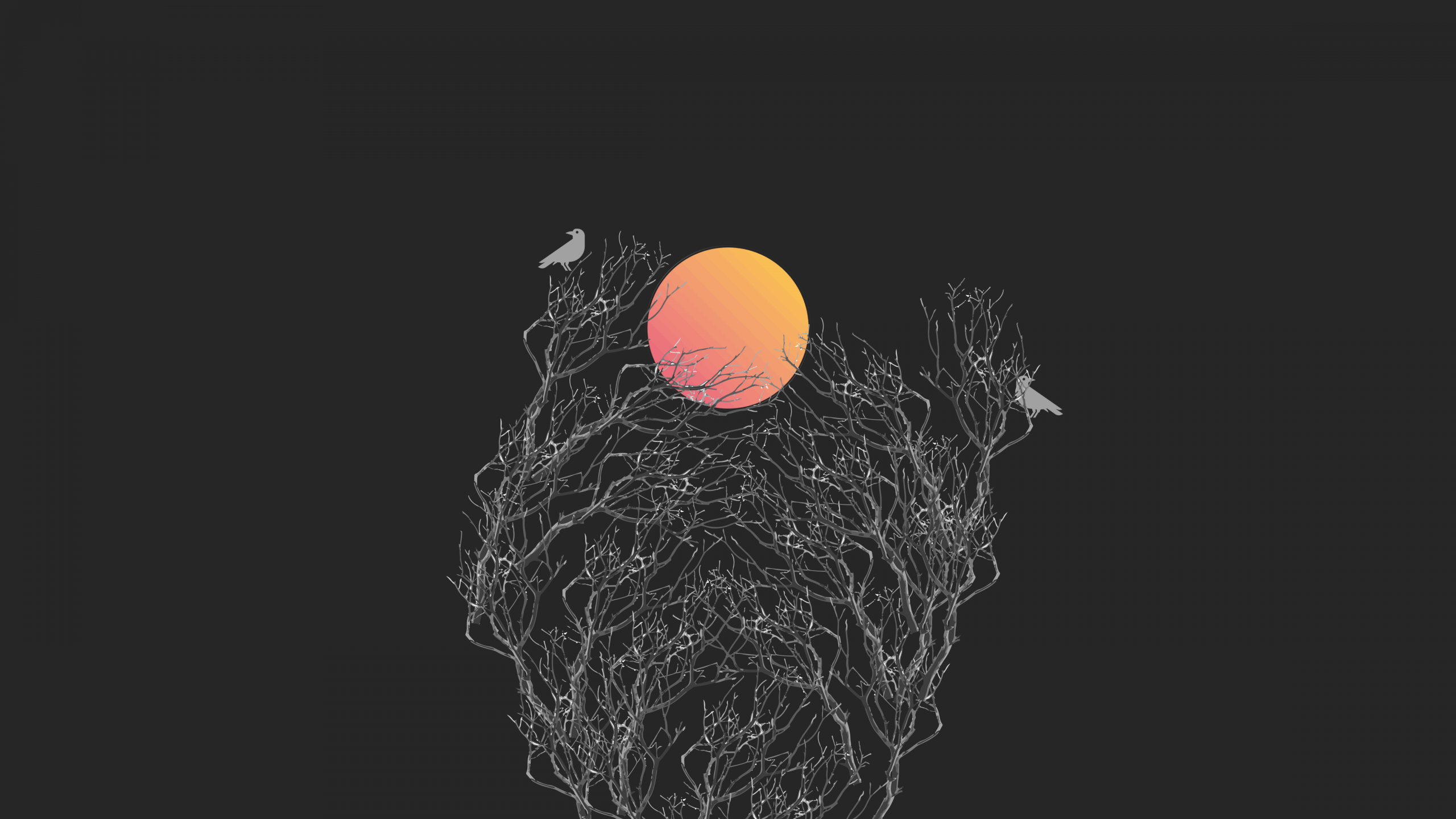 Tree Minimal Moon Wallpapers