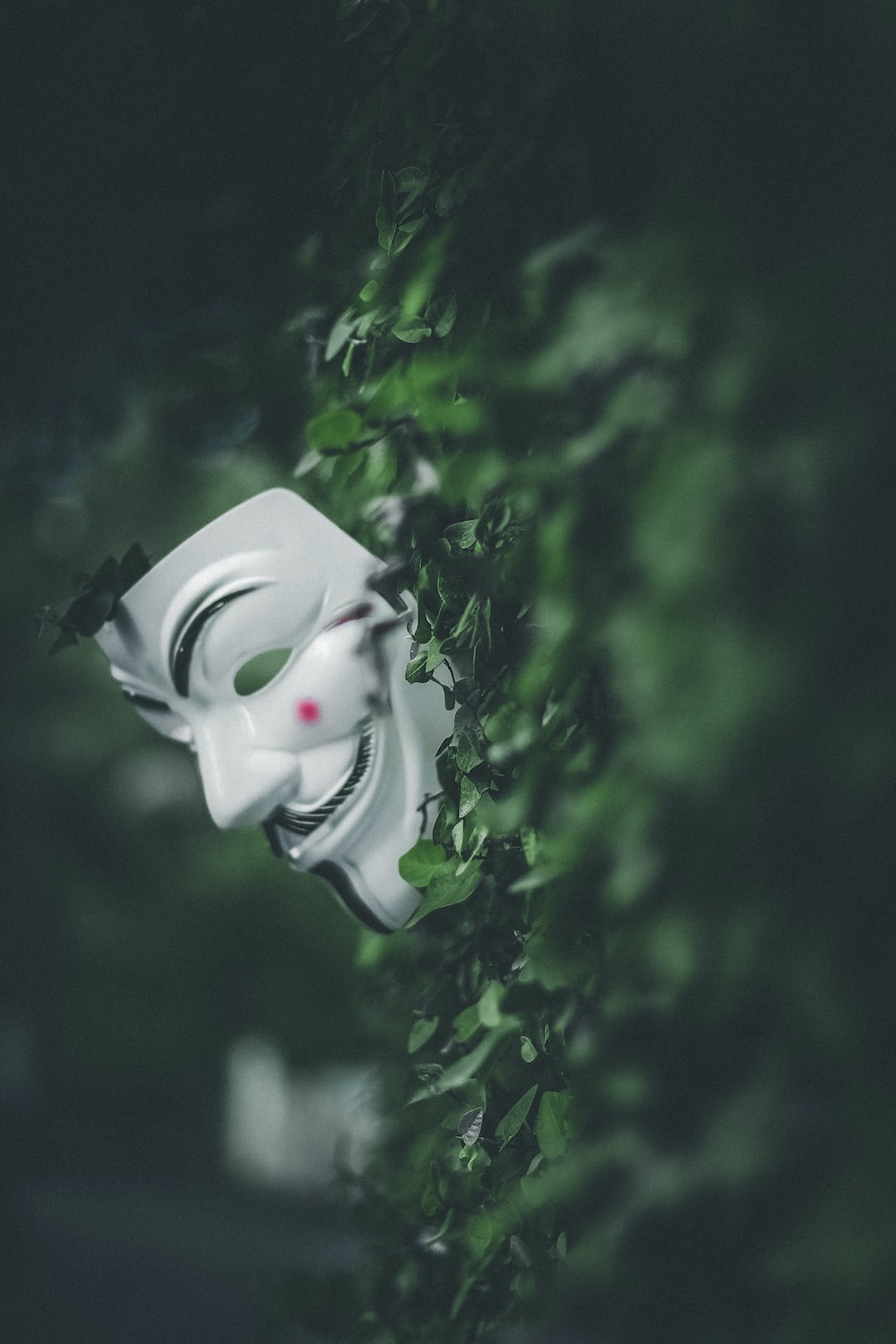 Vendetta Mask Wallpapers