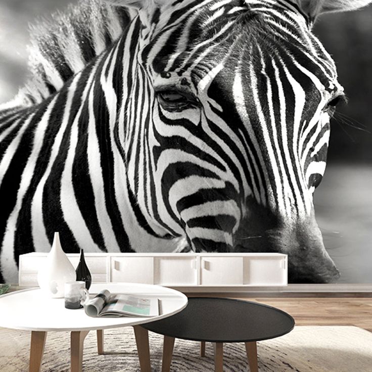 Zebra Minimalism Wallpapers