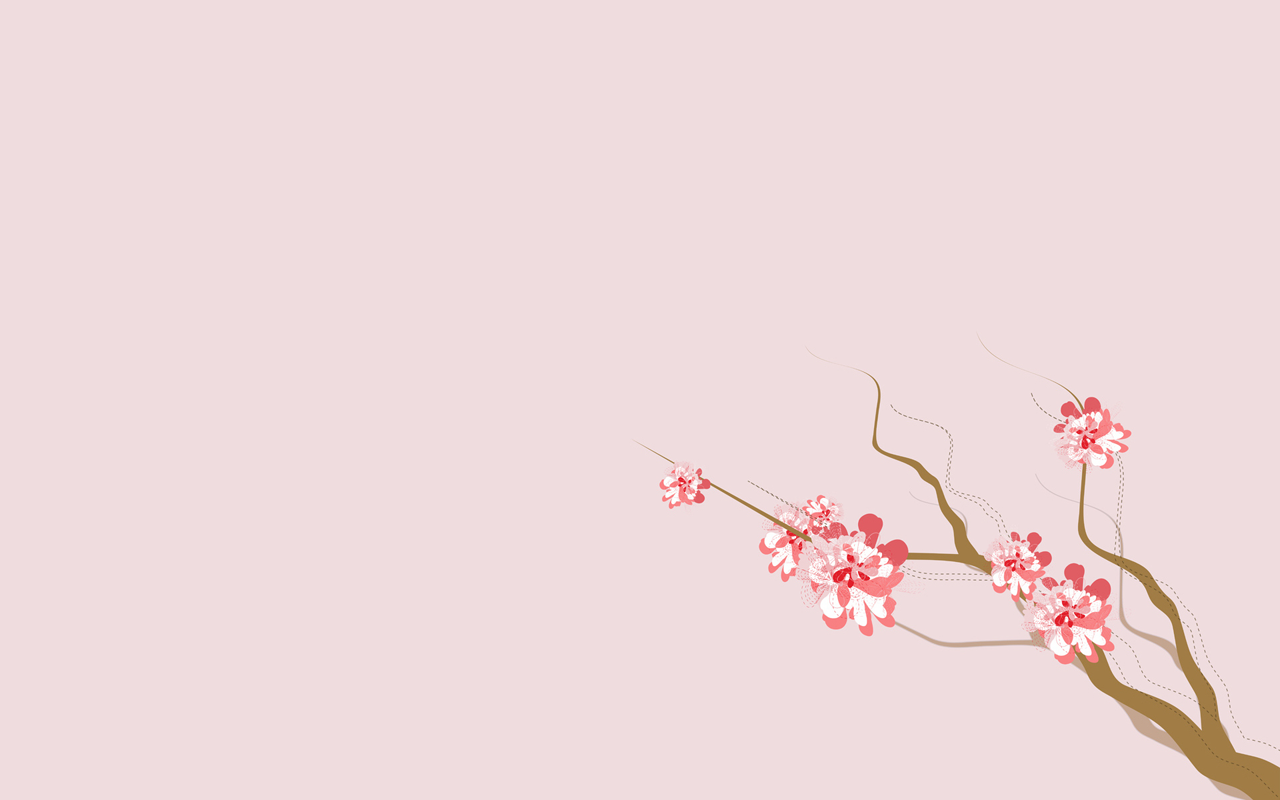 Minimalist Cherry Blossom Wallpapers