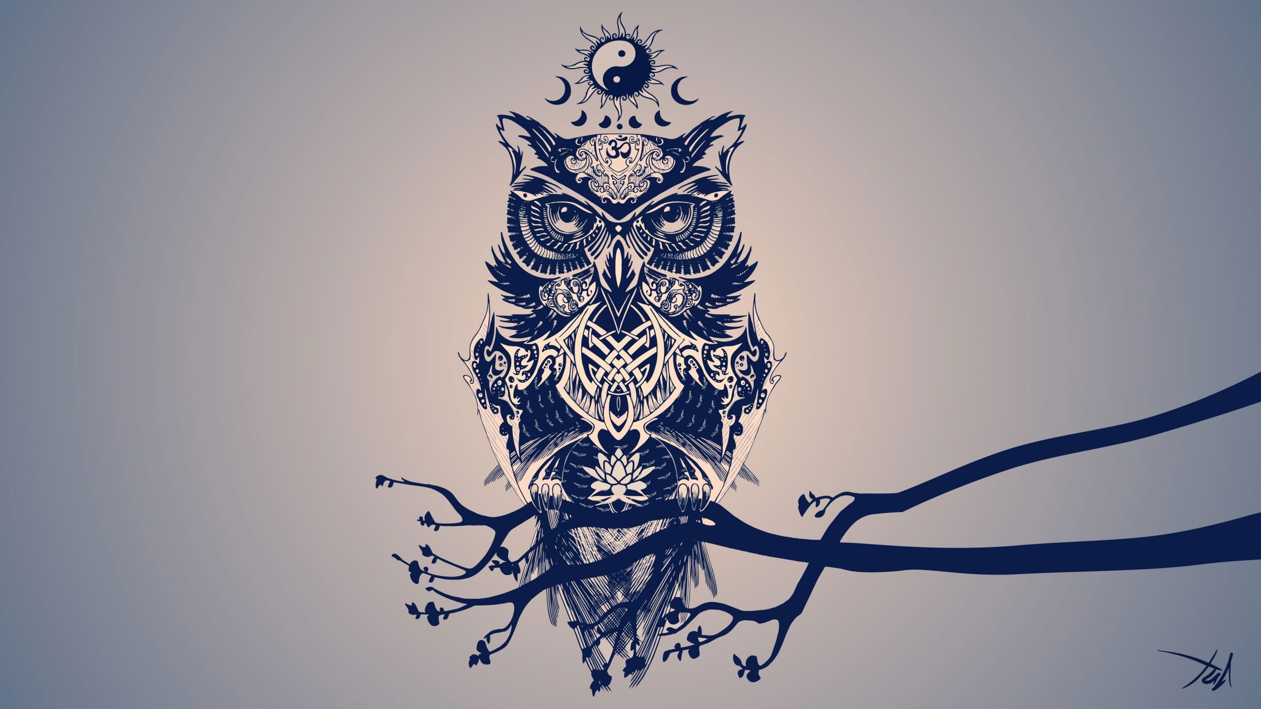 Minimalist Owl Wallpapers