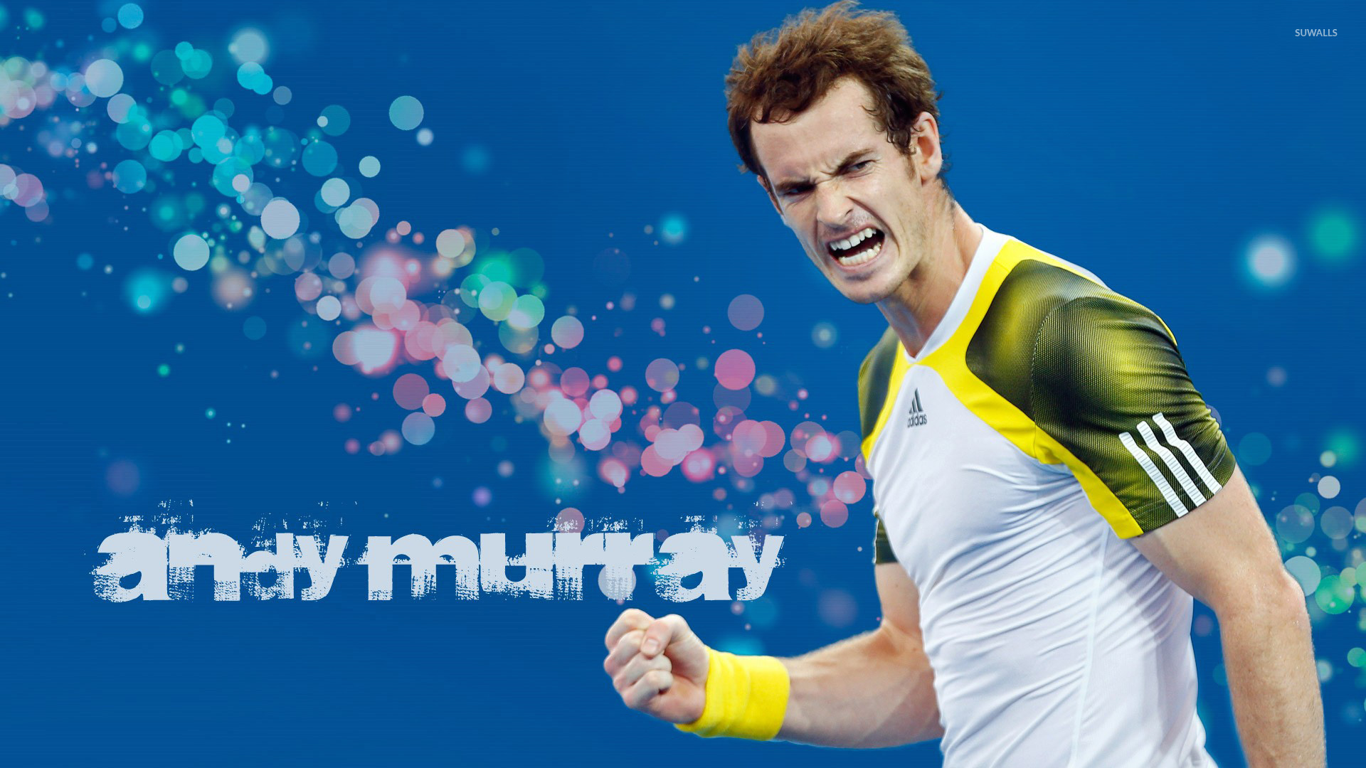 Andy Murray Wallpapers