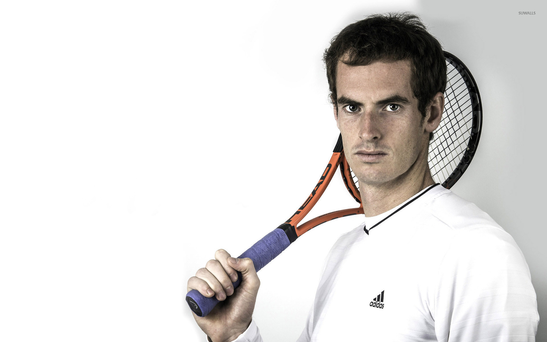 Andy Murray Wallpapers