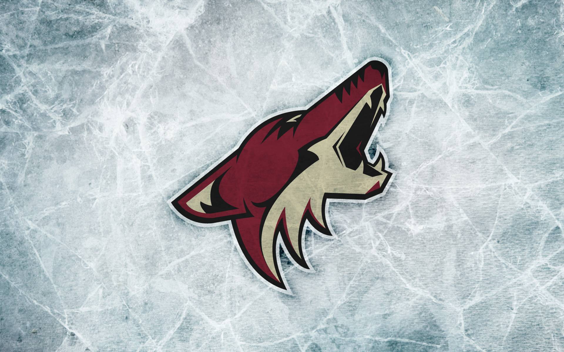 Arizona Coyotes Wallpapers