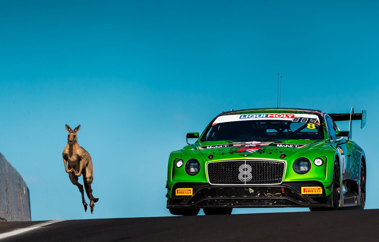 Bathurst 12 Hour Endurance Wallpapers