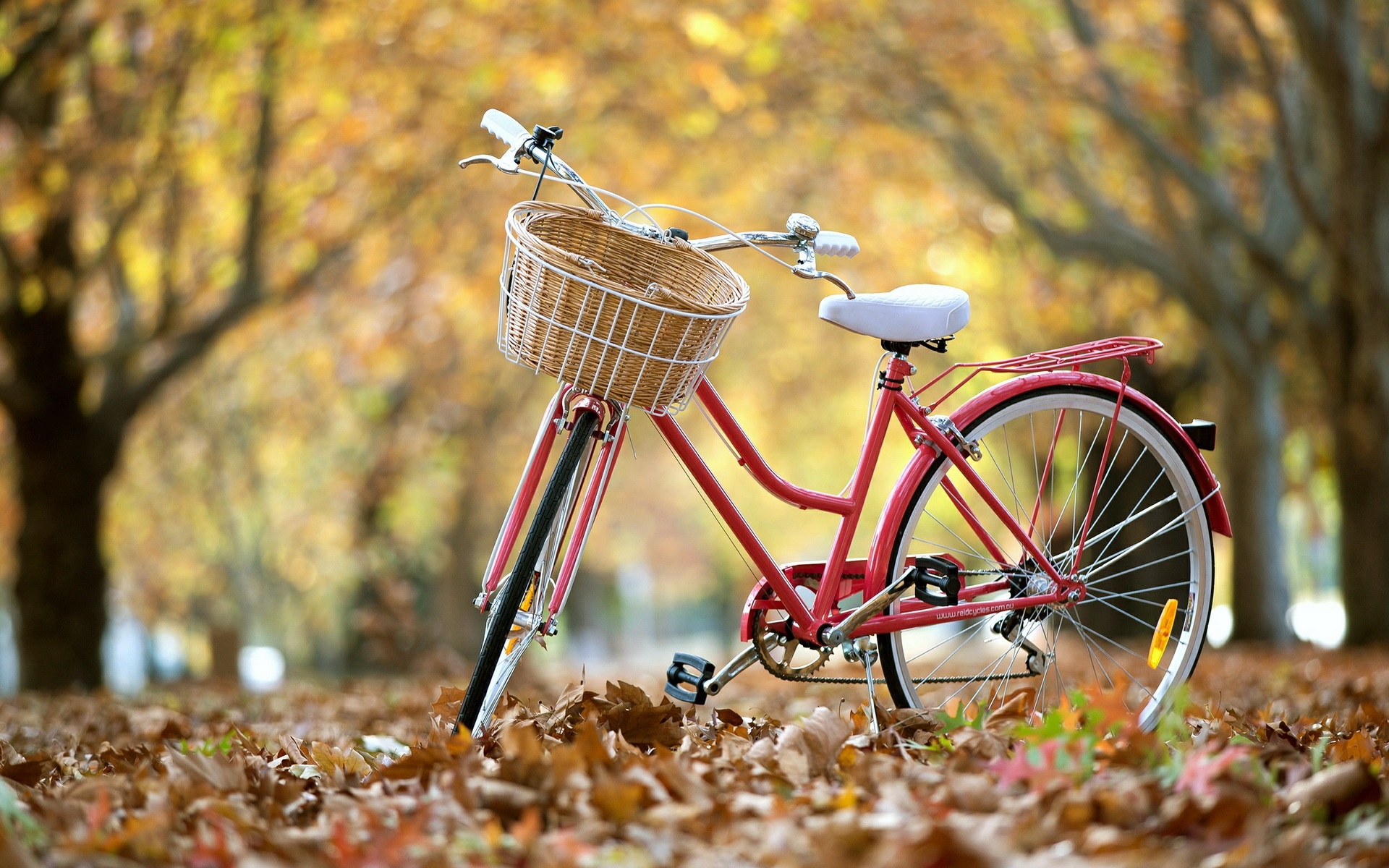 Bicycle Wallpapers