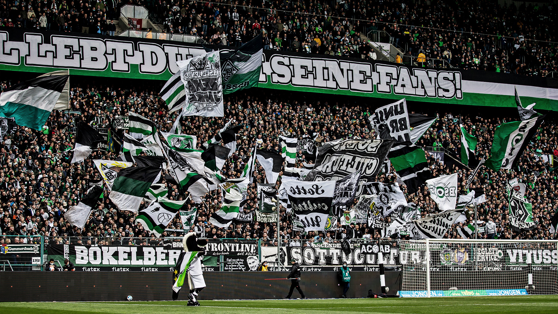 Borussia MoNchengladbach Wallpapers