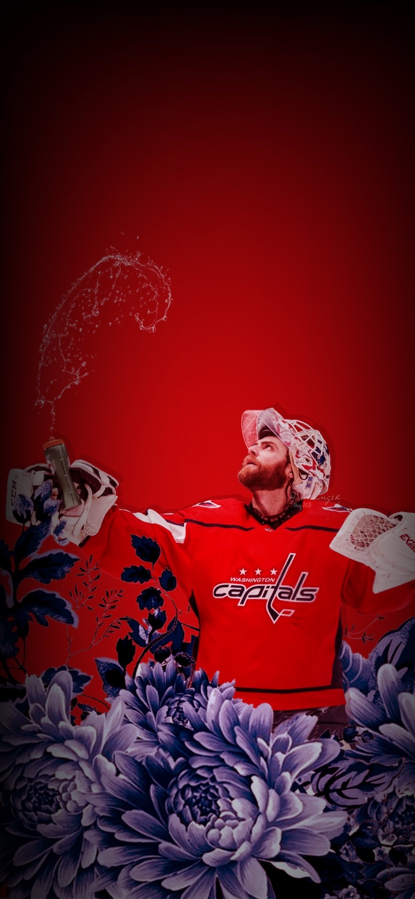 Braden Holtby Wallpapers