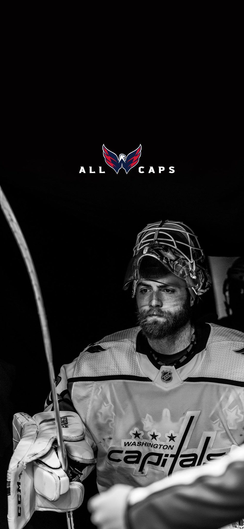 Braden Holtby Wallpapers