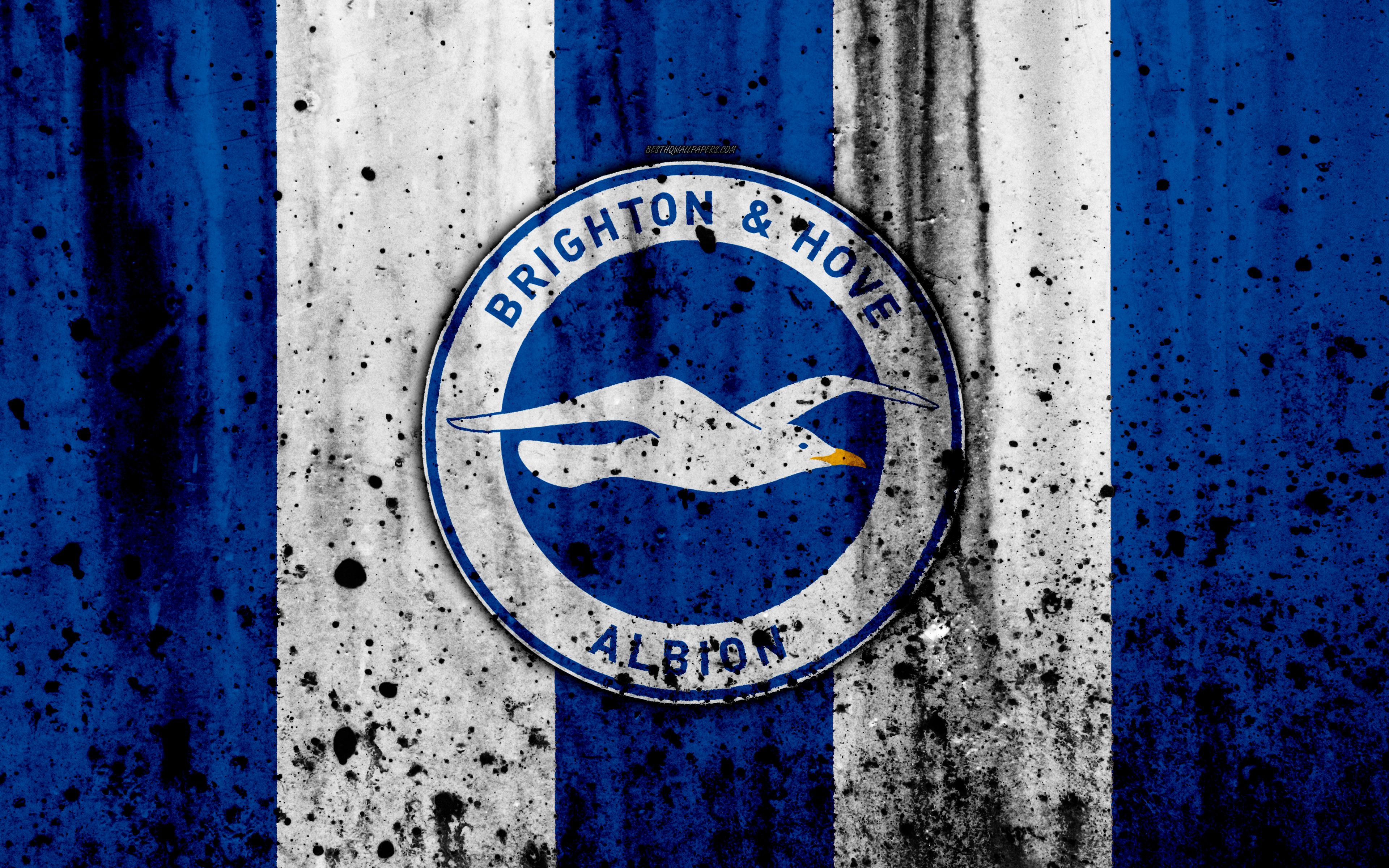 Brighton And Hove Albion Wallpapers