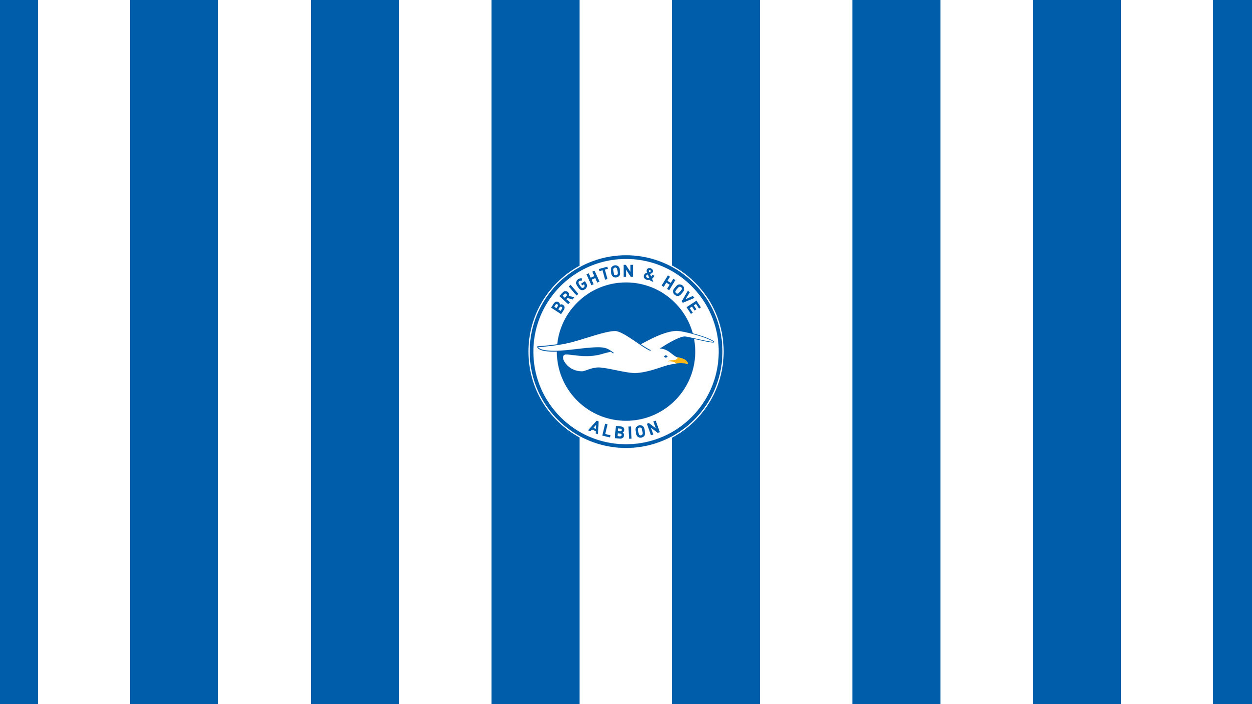 Brighton And Hove Albion Wallpapers