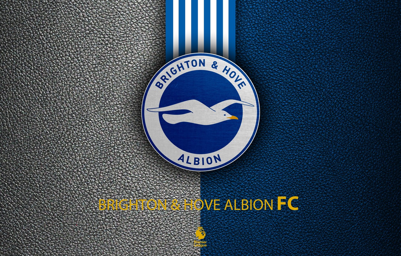 Brighton And Hove Albion Wallpapers