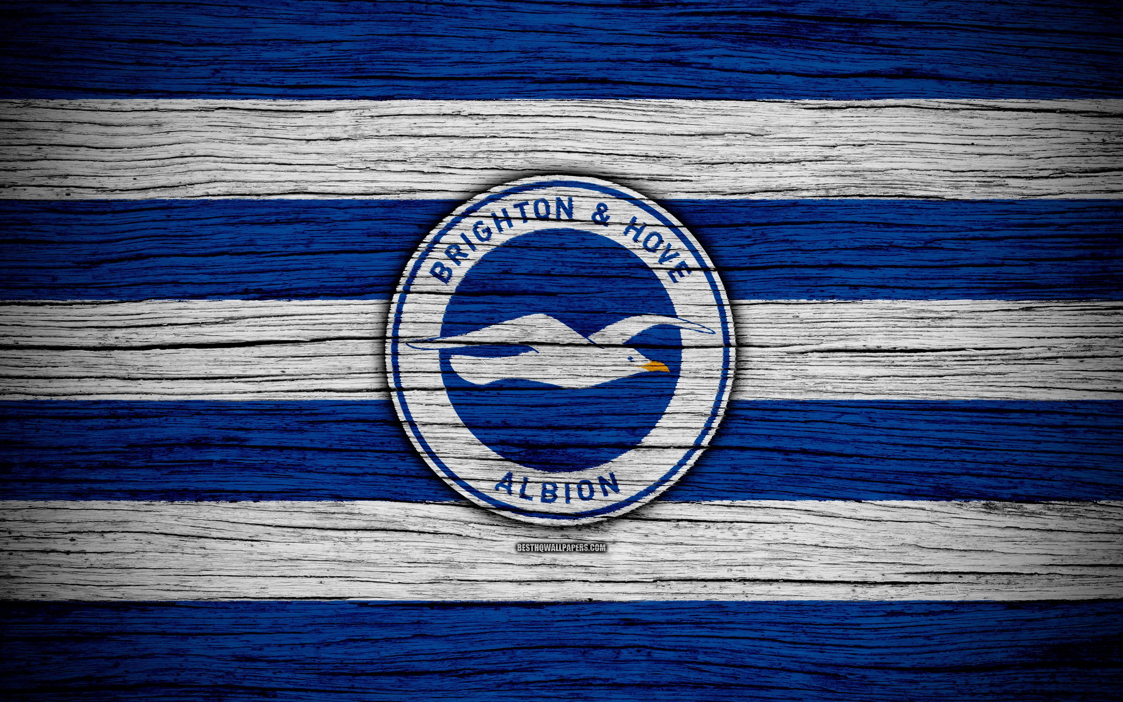 Brighton And Hove Albion Wallpapers