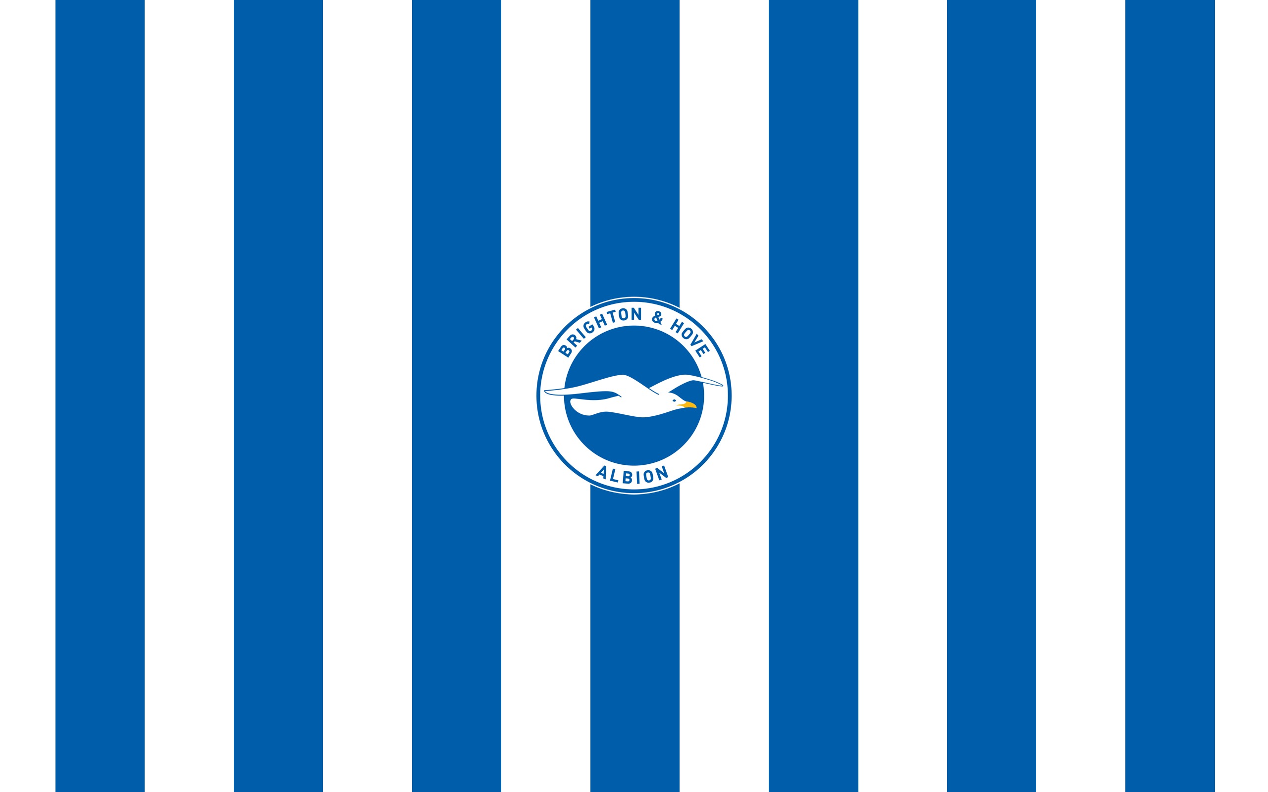 Brighton And Hove Albion Wallpapers