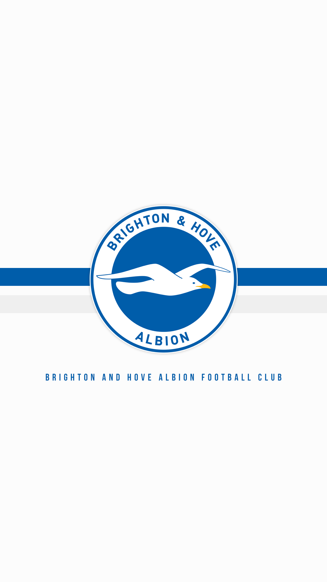 Brighton And Hove Albion Wallpapers