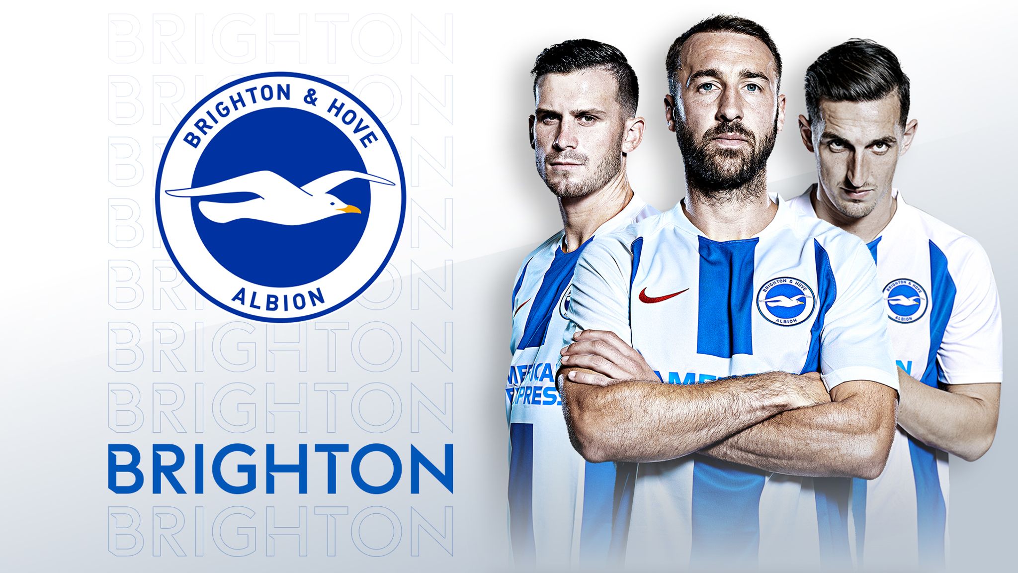 Brighton And Hove Albion Wallpapers