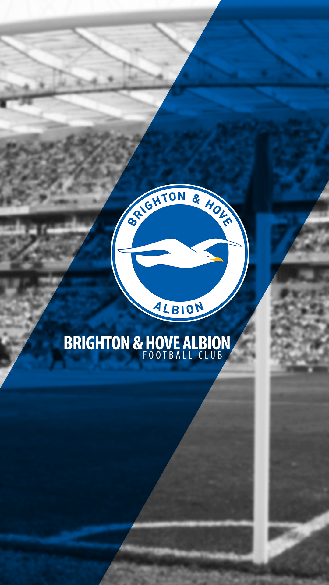 Brighton And Hove Albion Wallpapers