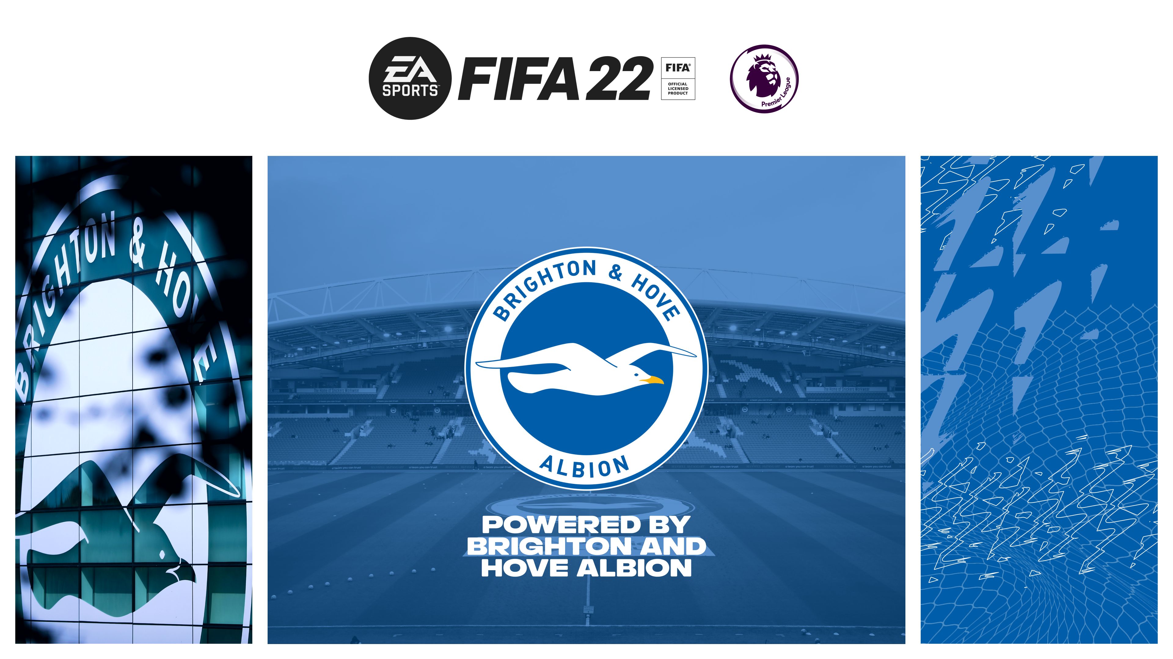 Brighton And Hove Albion Wallpapers