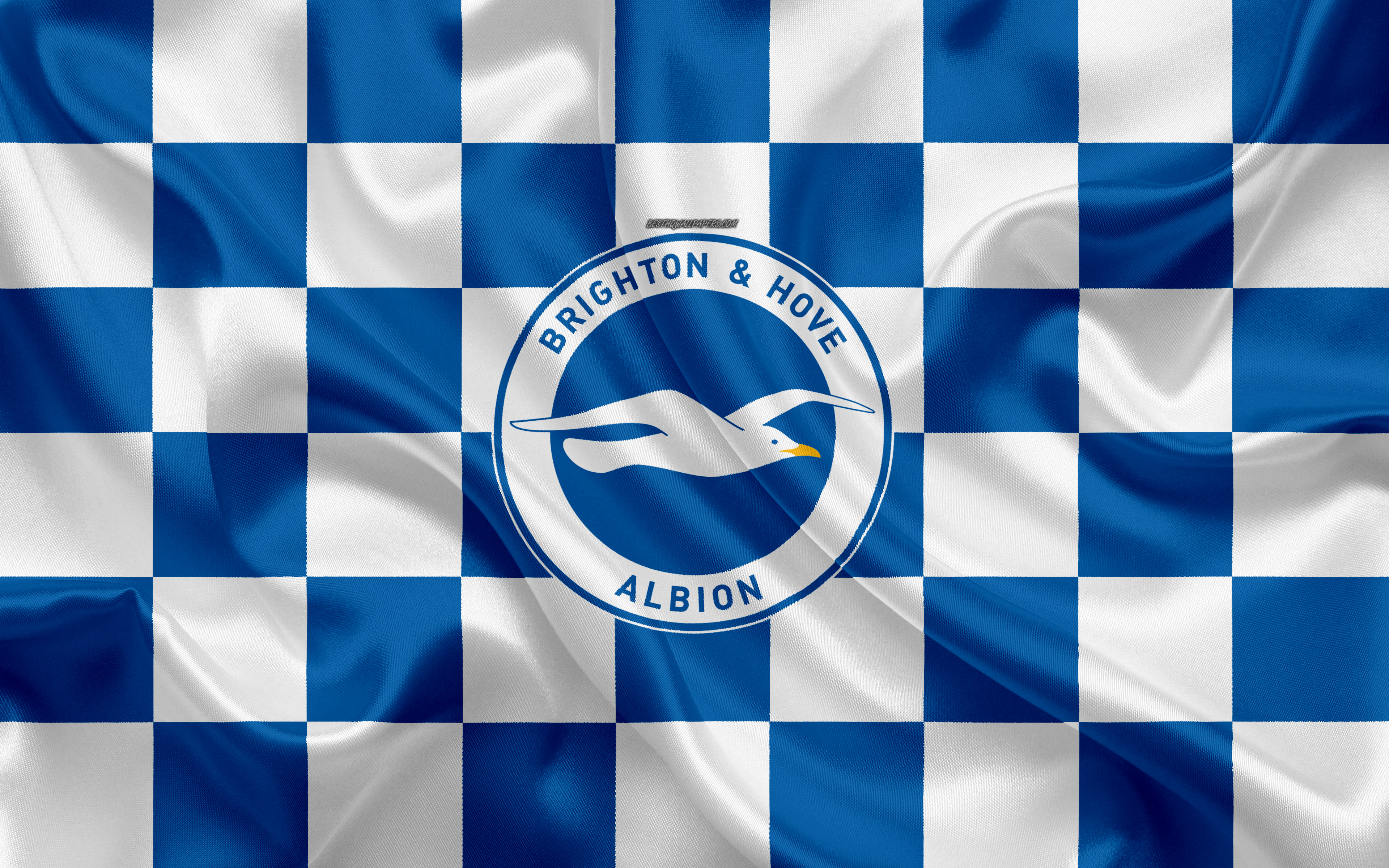 Brighton And Hove Albion Wallpapers