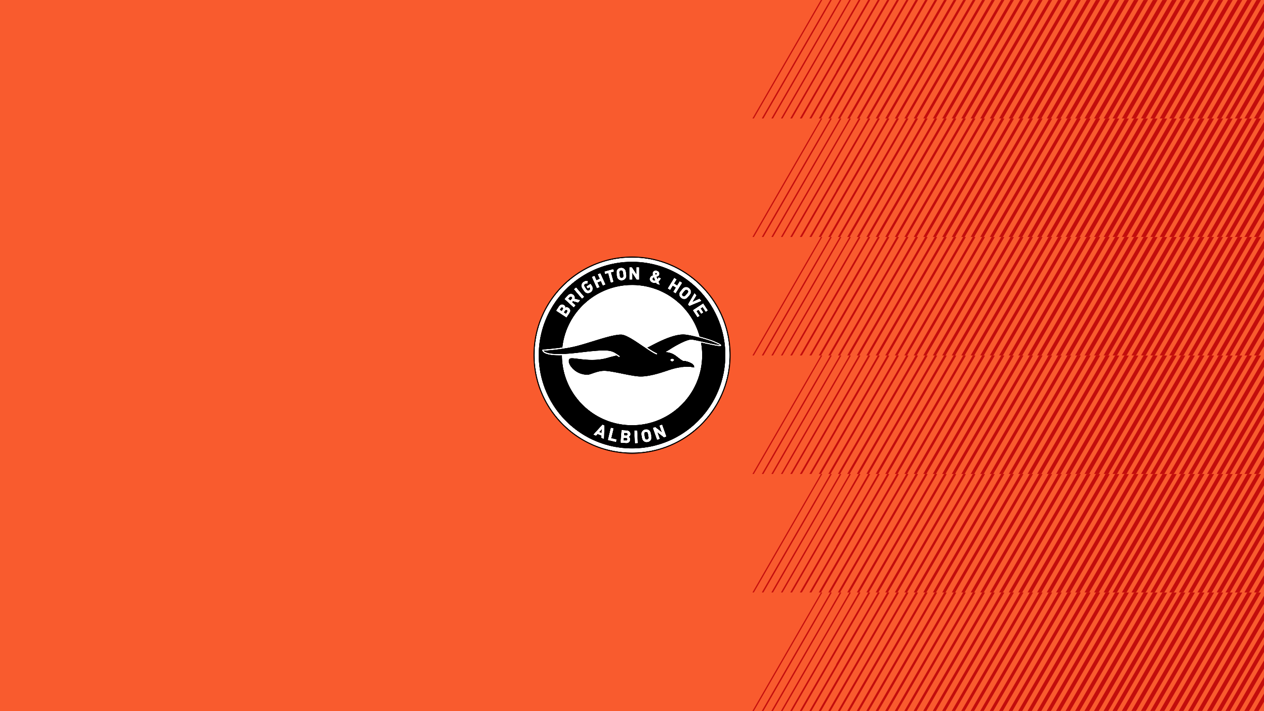 Brighton And Hove Albion Wallpapers