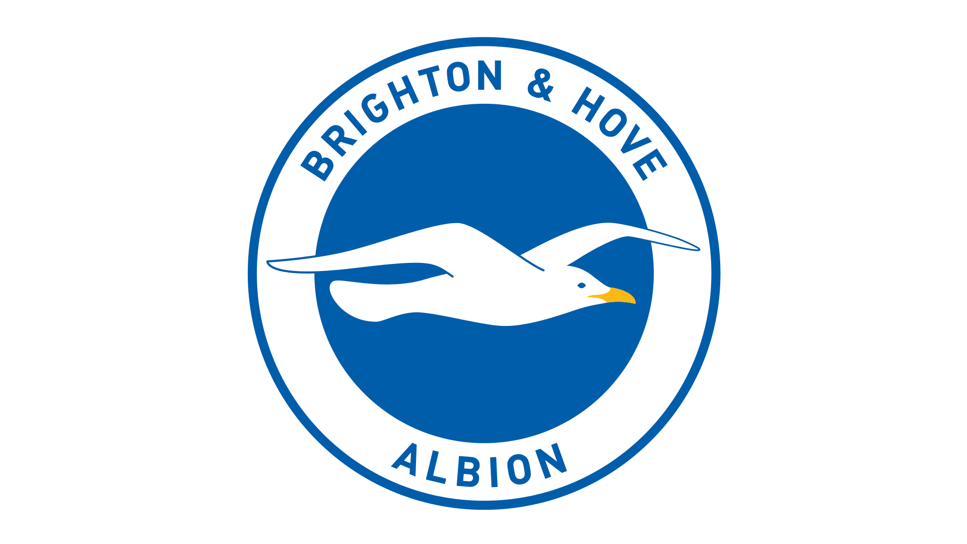 Brighton And Hove Albion Wallpapers